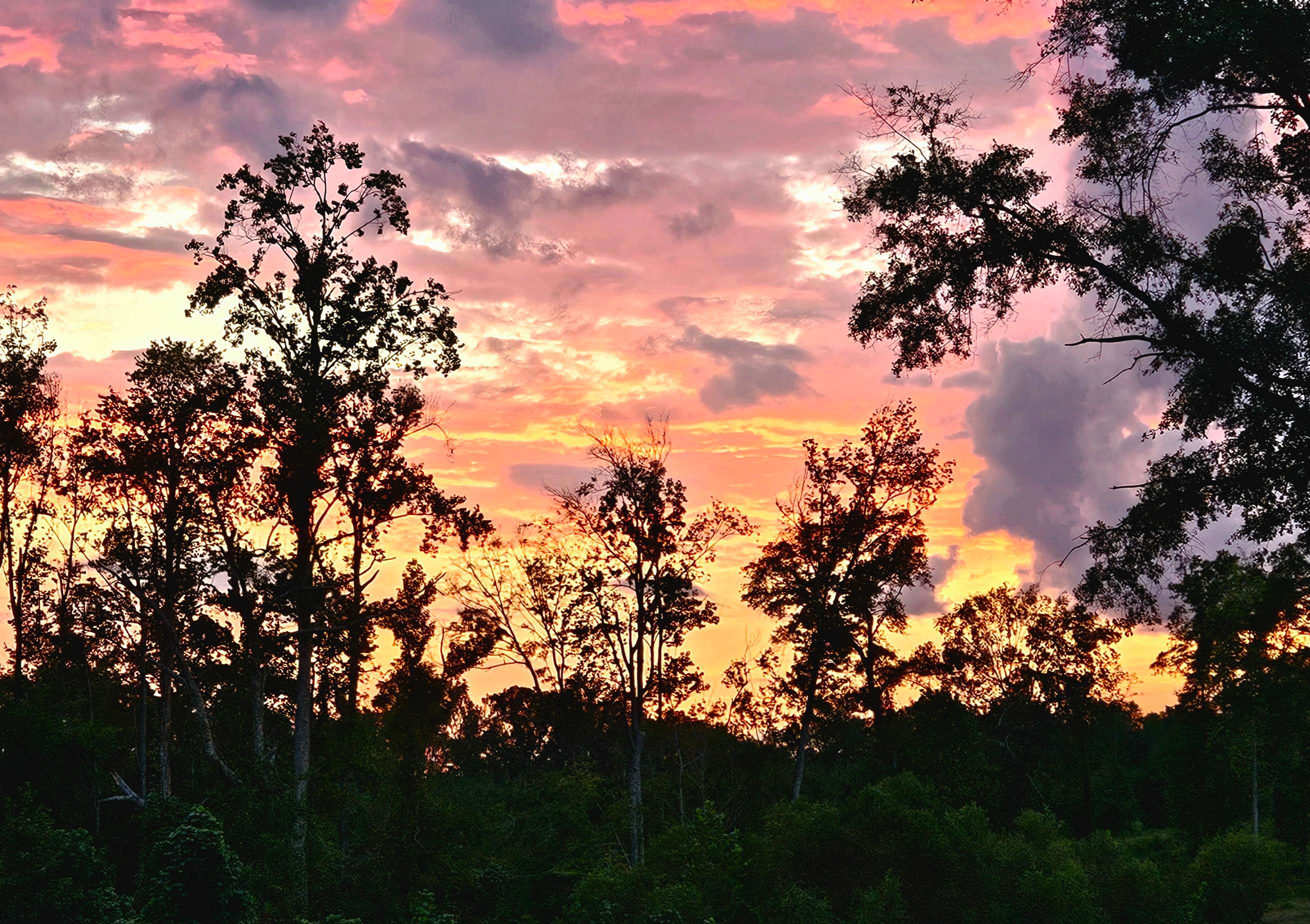 Beautiful sunset over the pond