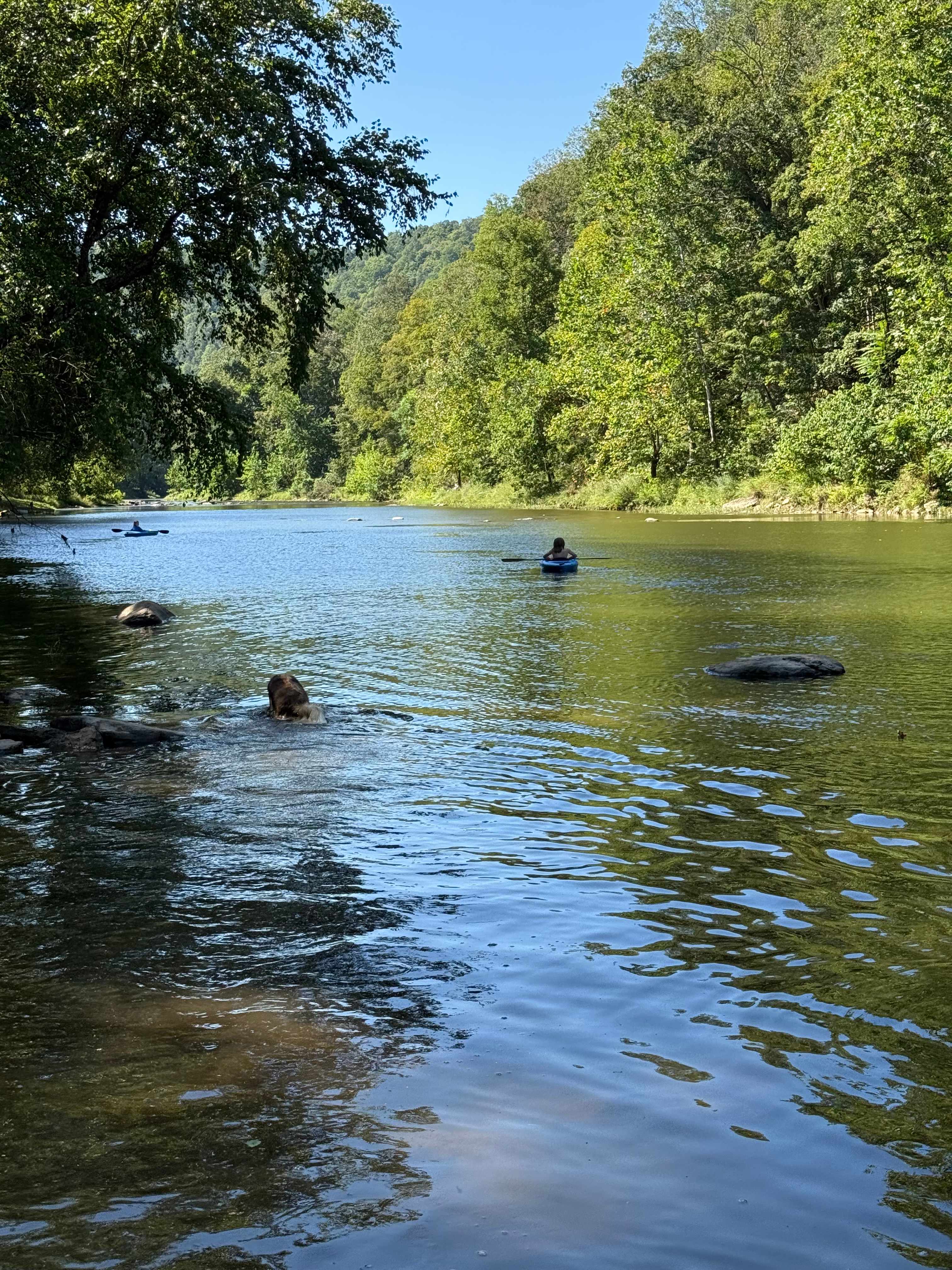 The Byrd's Nest on the River