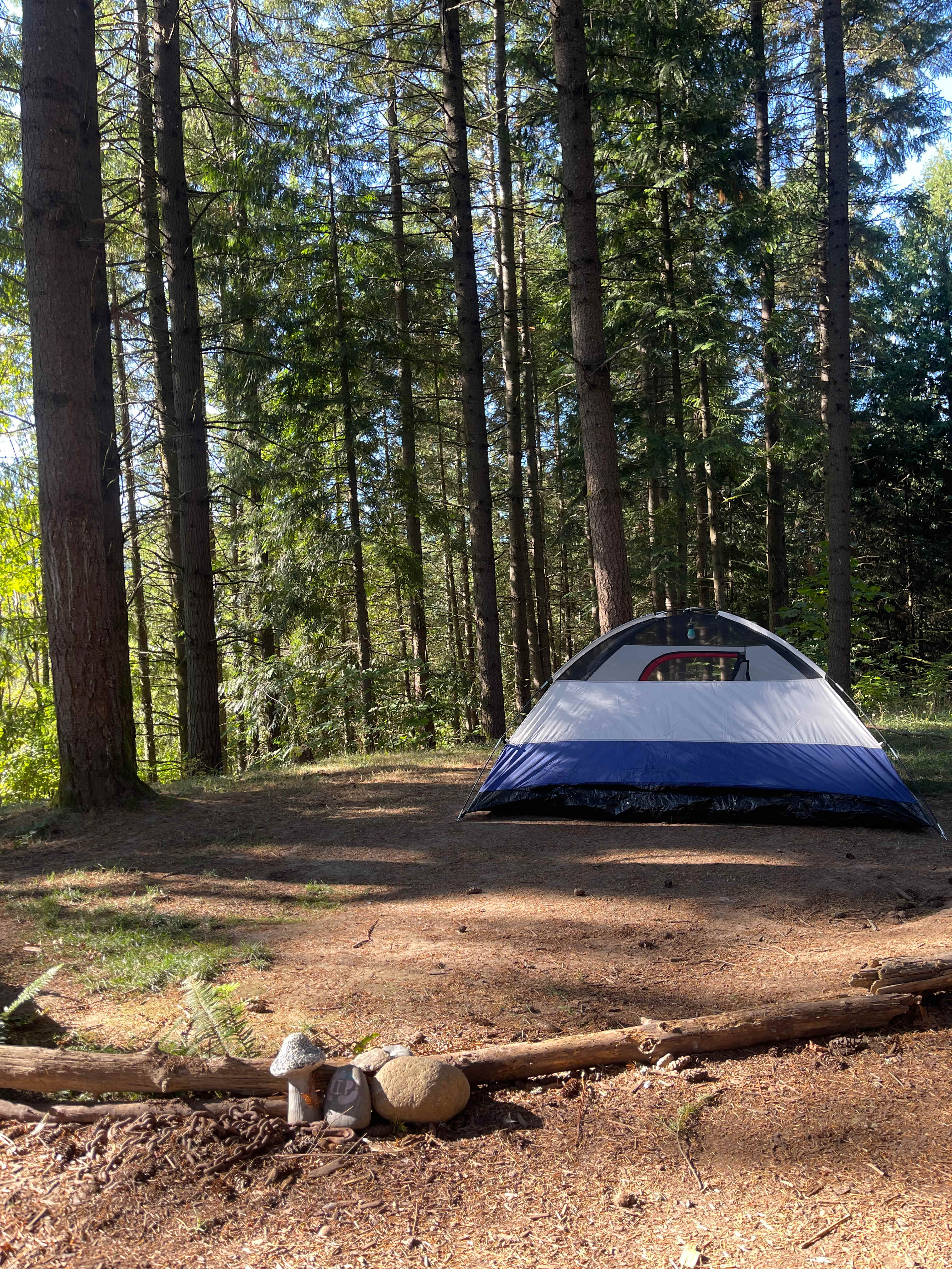 Akitaaru Forest Camp