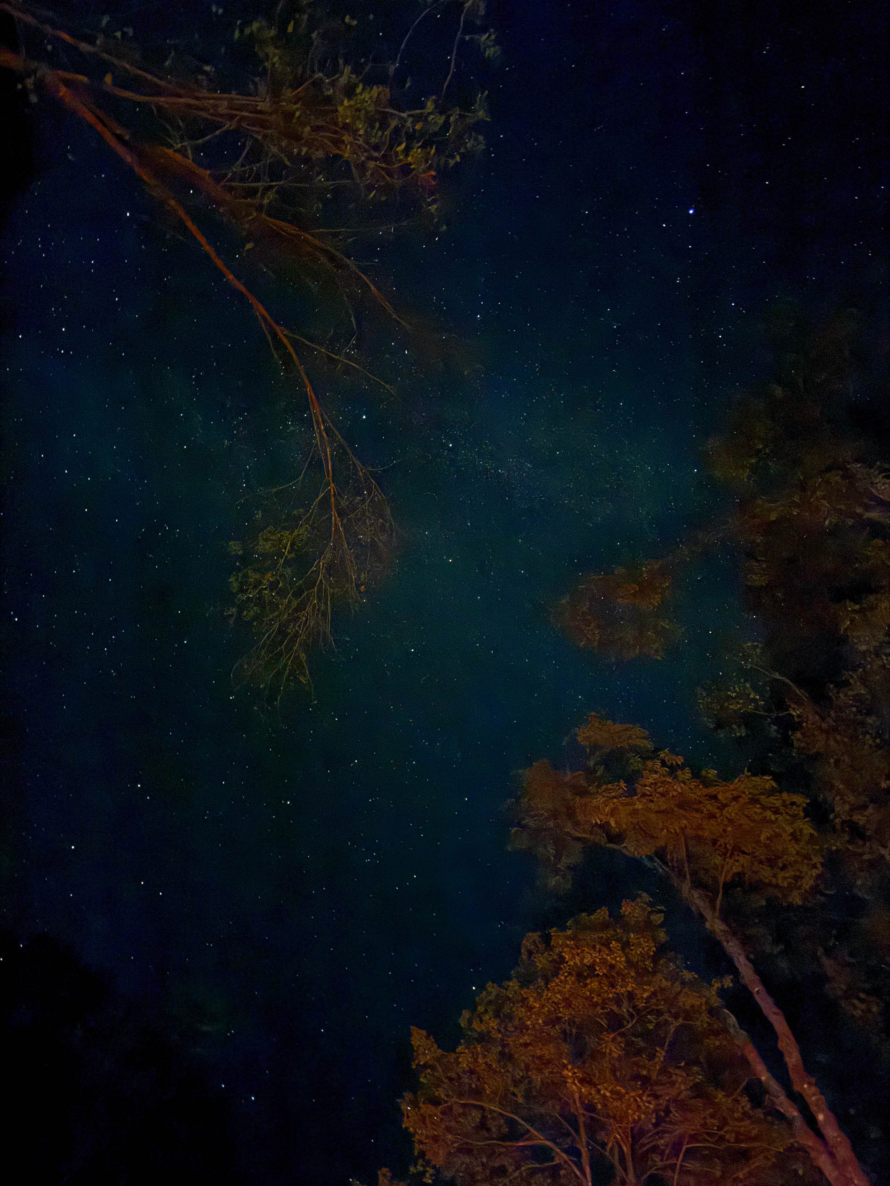 Sky View