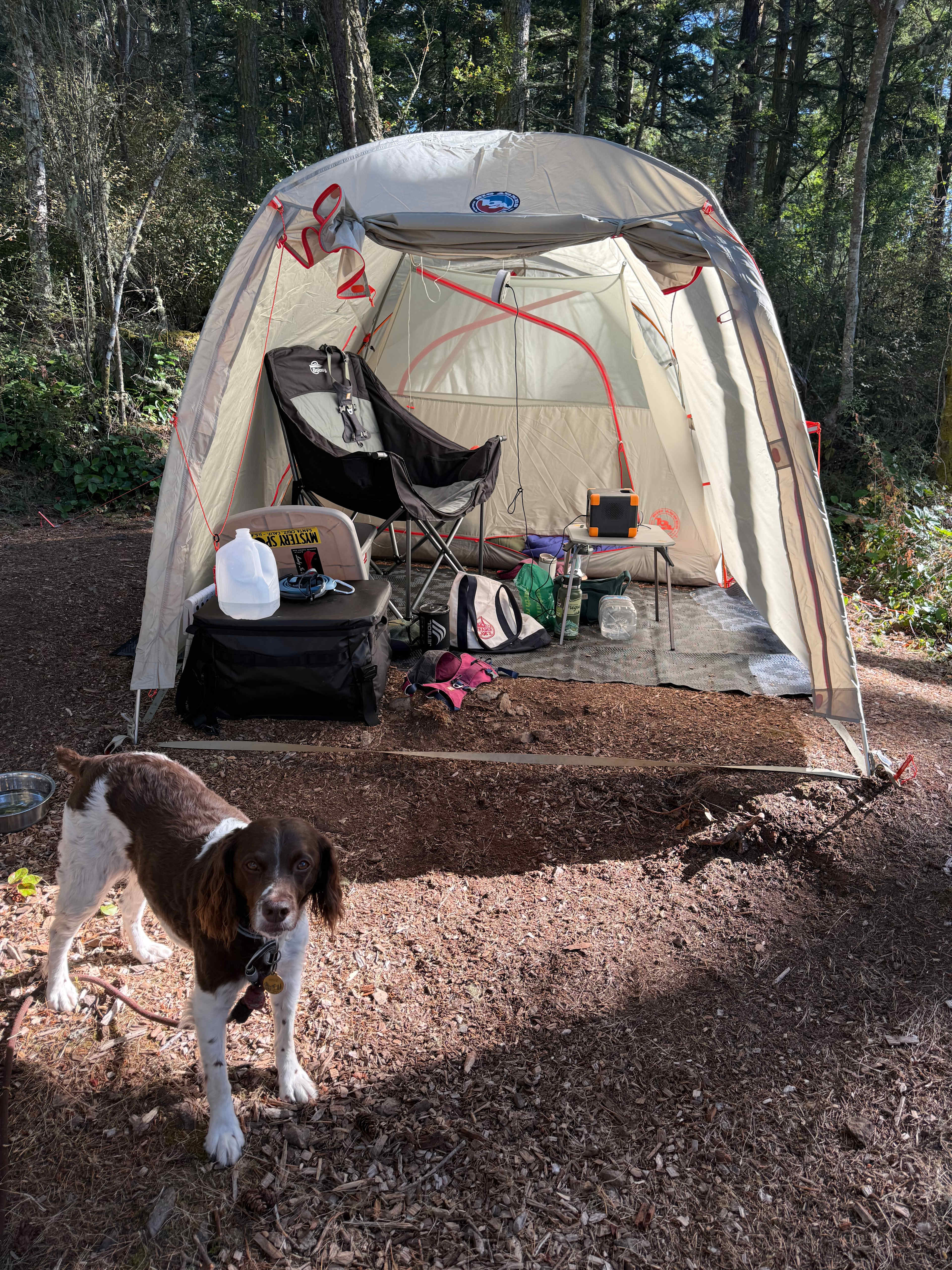 Doe Bay Resort and Retreat