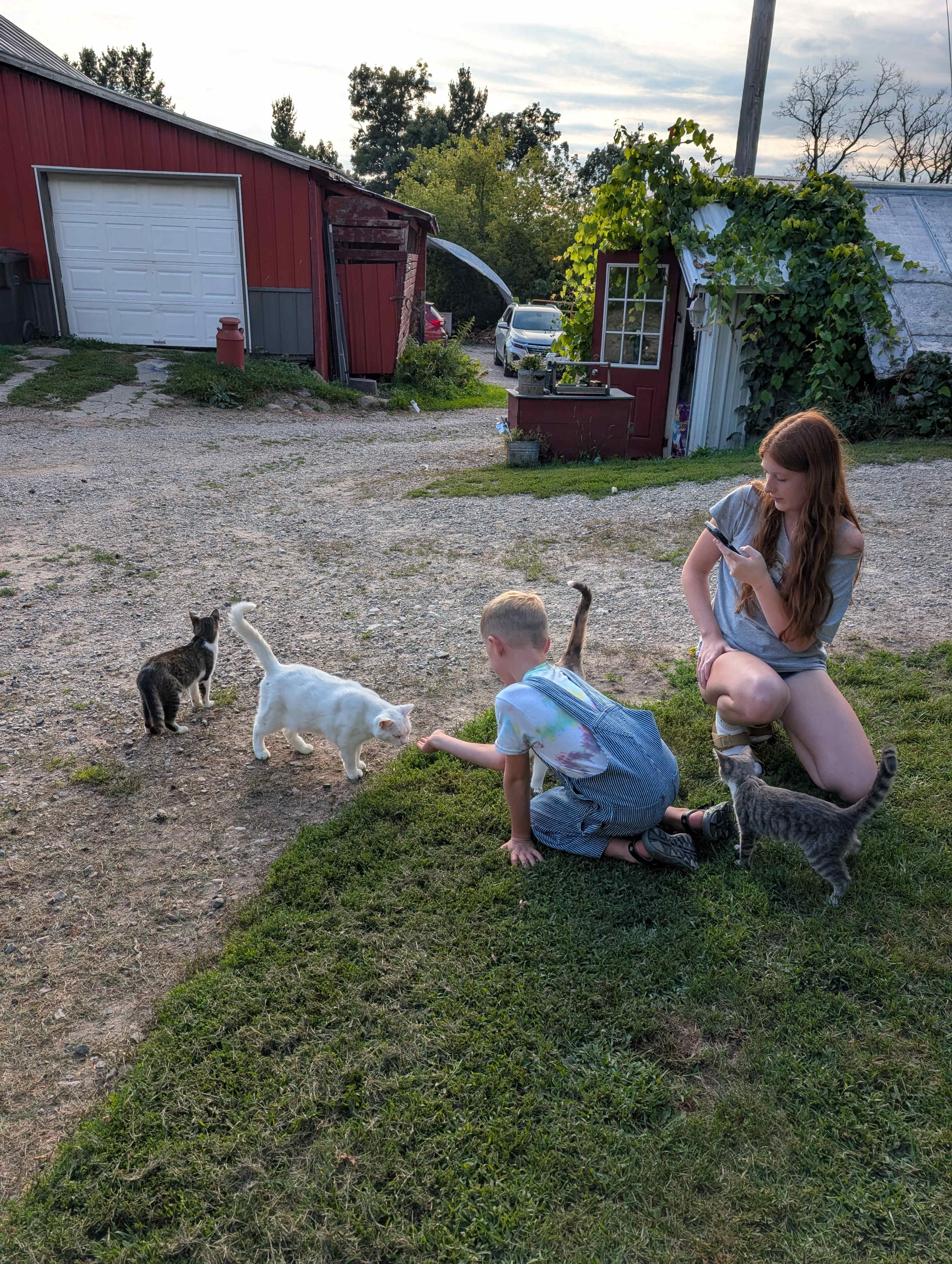 RileyCrest Farm