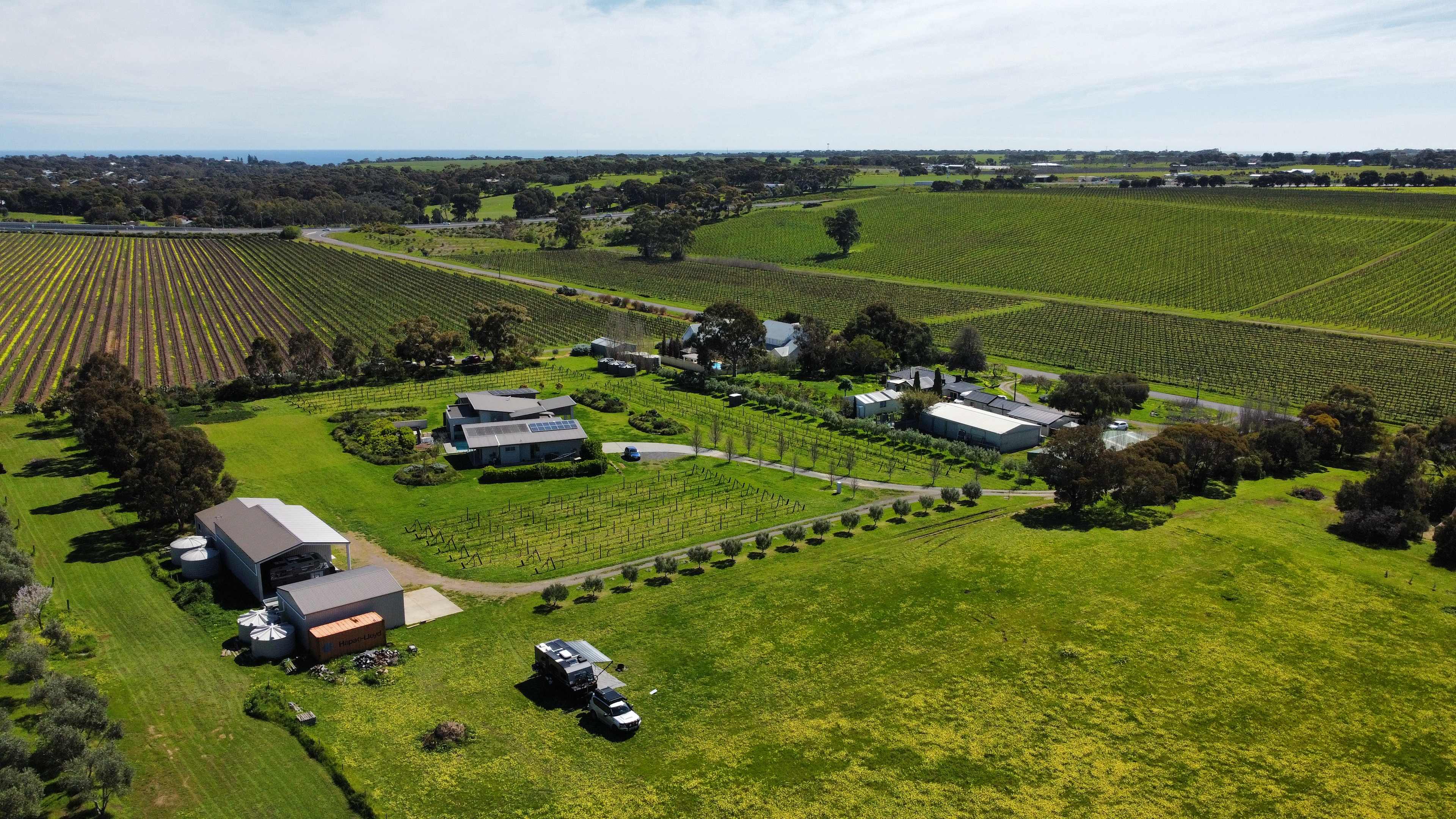 Six Strings - McLaren Vale Vineyard