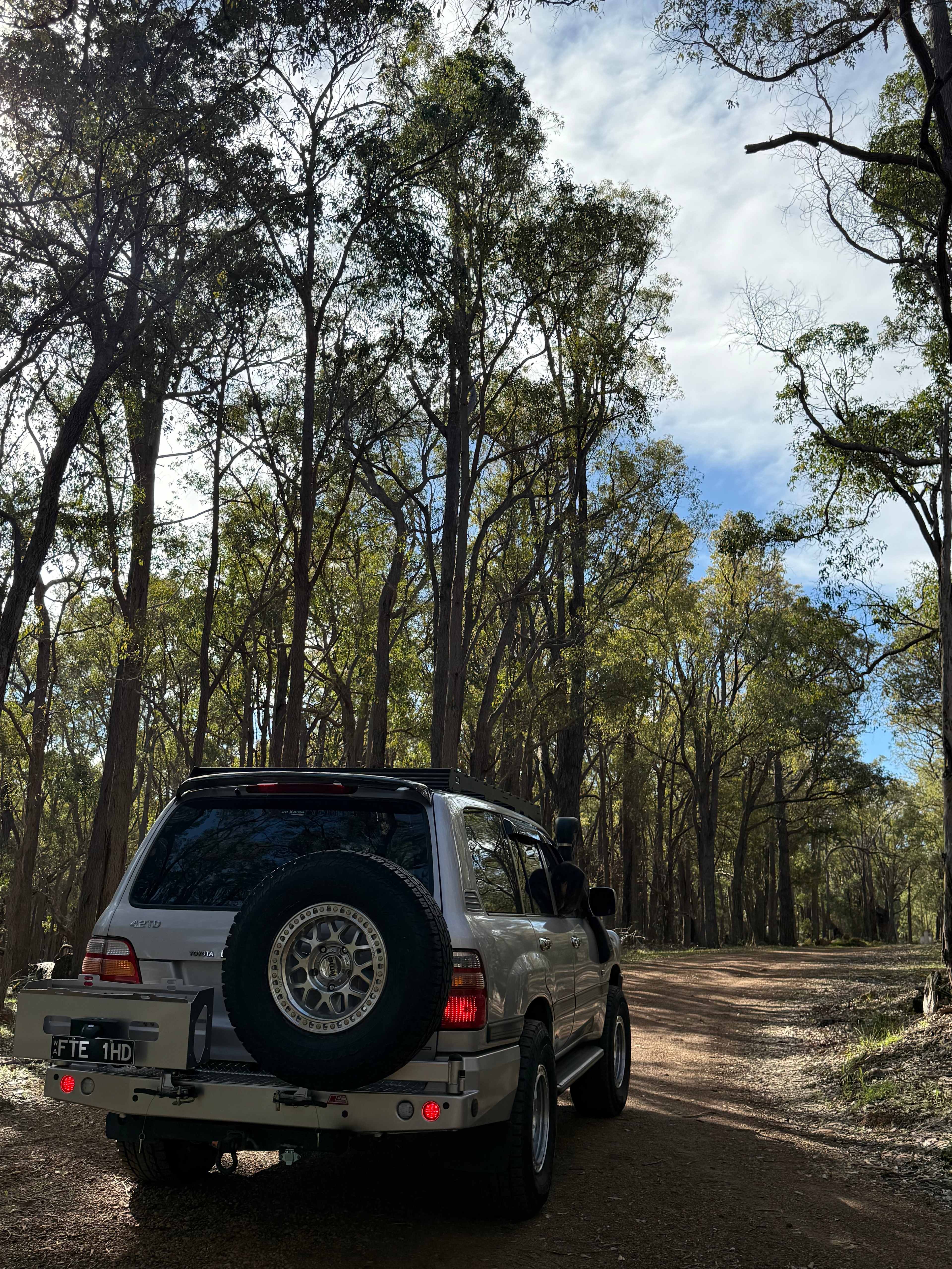 100-Acre Woods