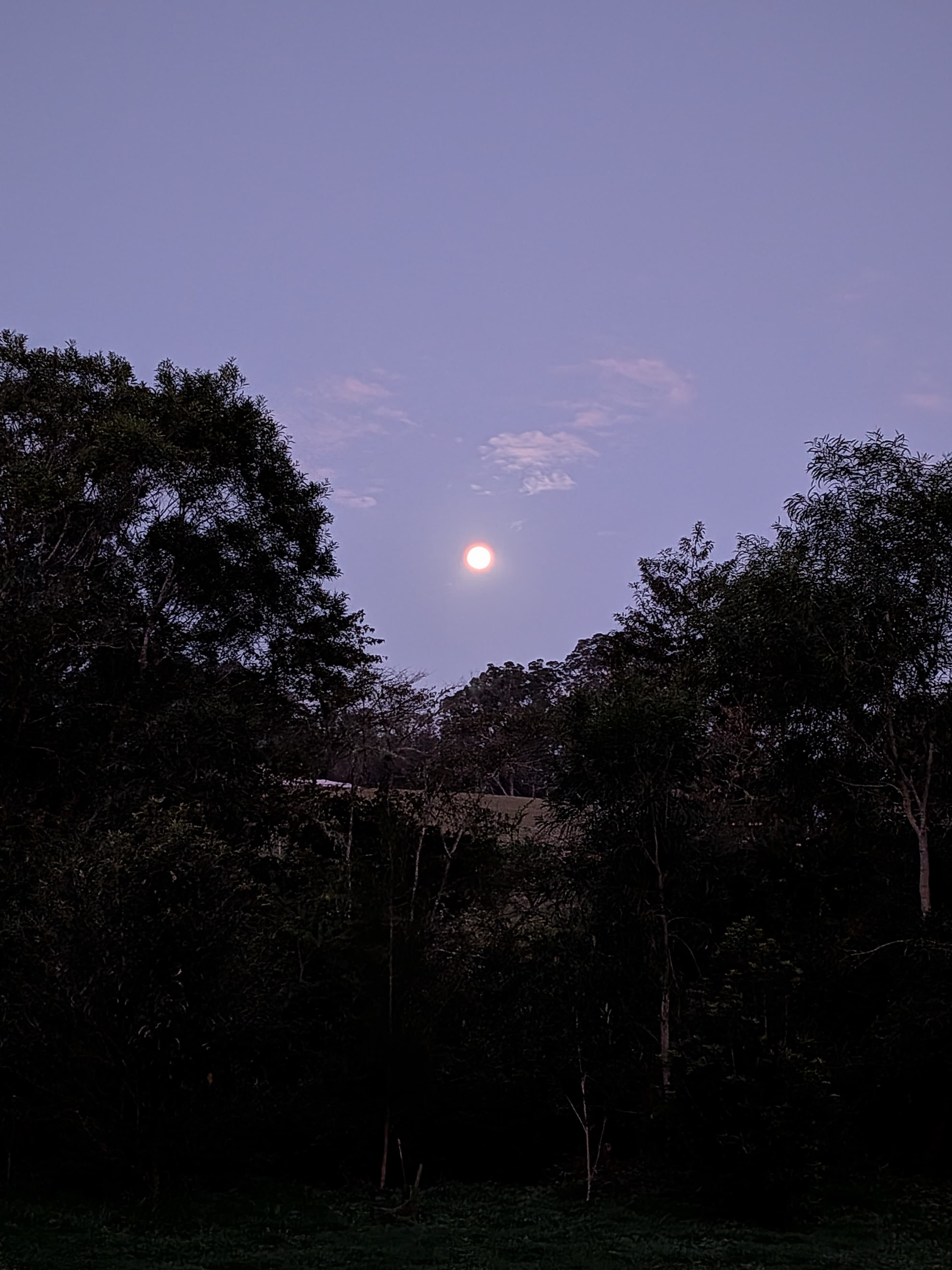 Full moon over the paddocks.