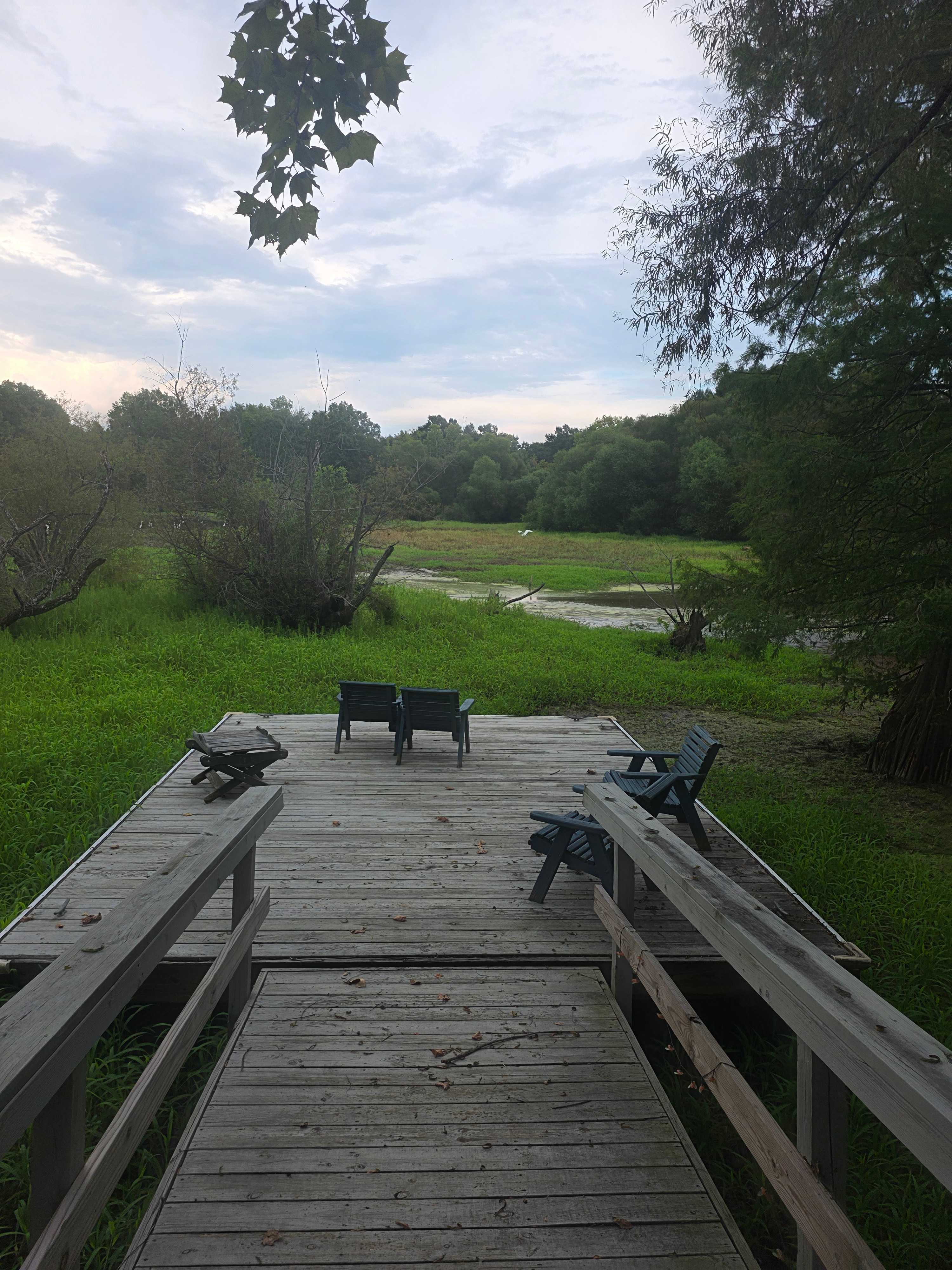 The Dancing Pig On Abbotts Creek