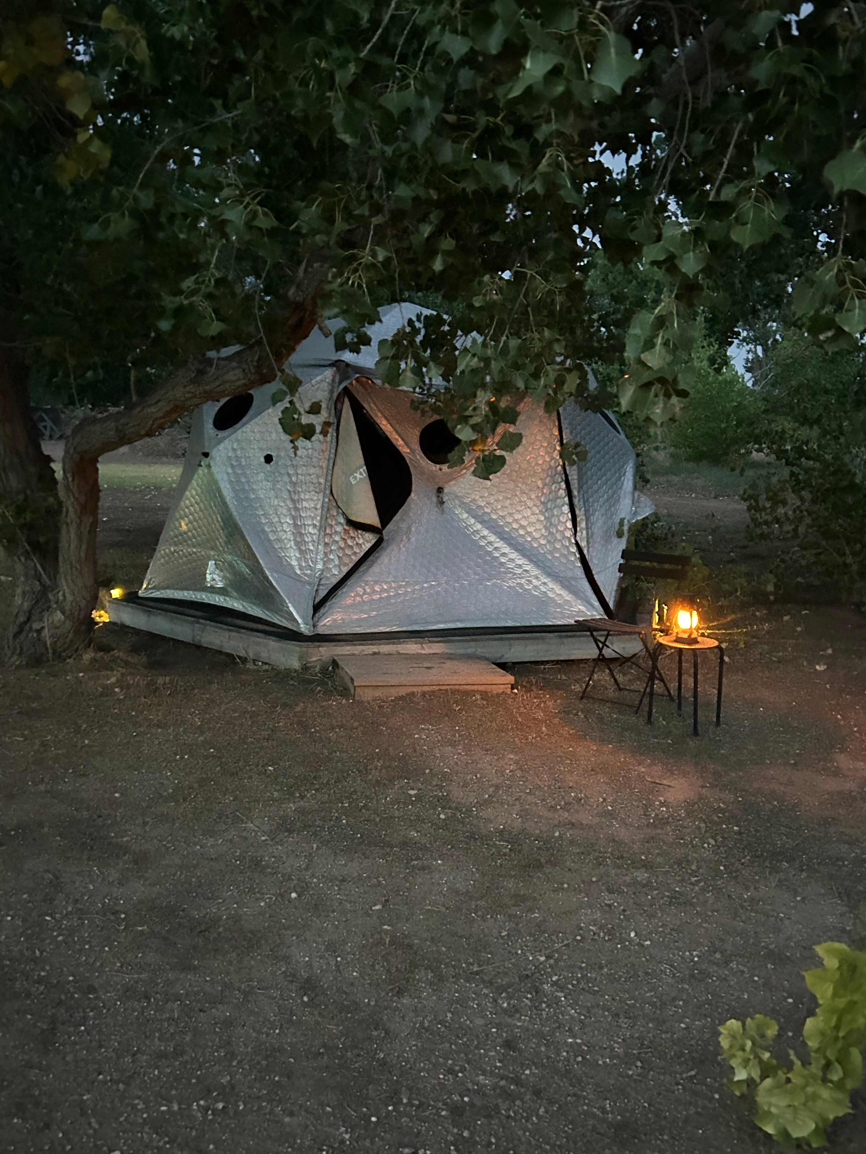 Picture of the site