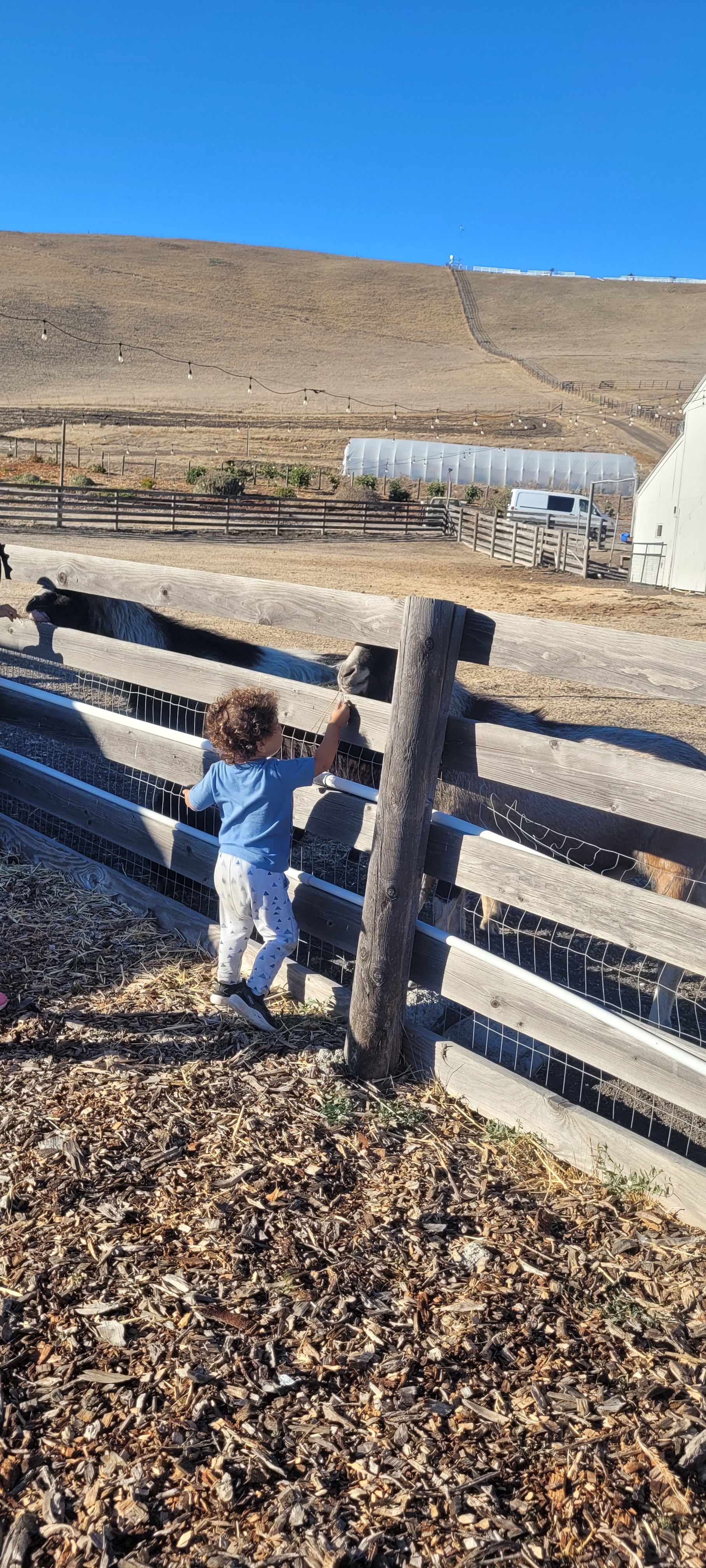The Ranch at Cross Road