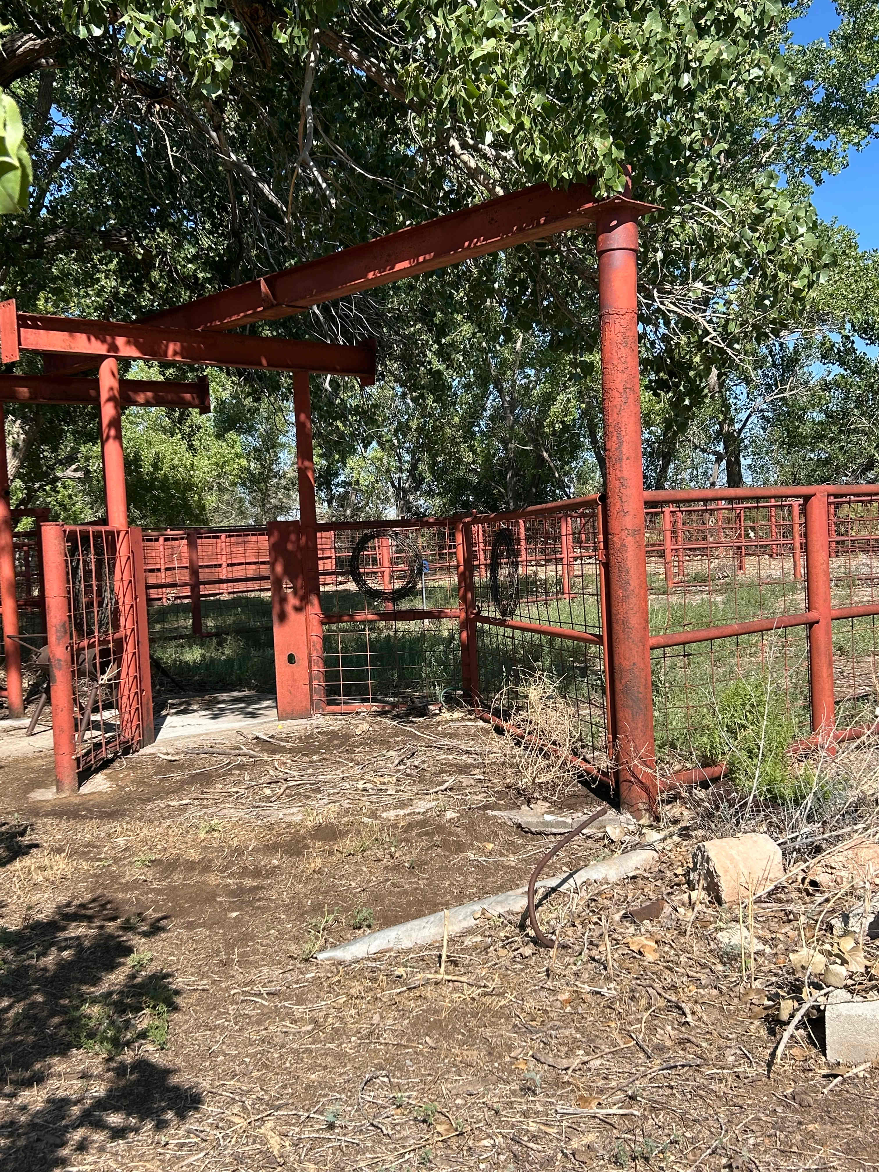 Picture of the site