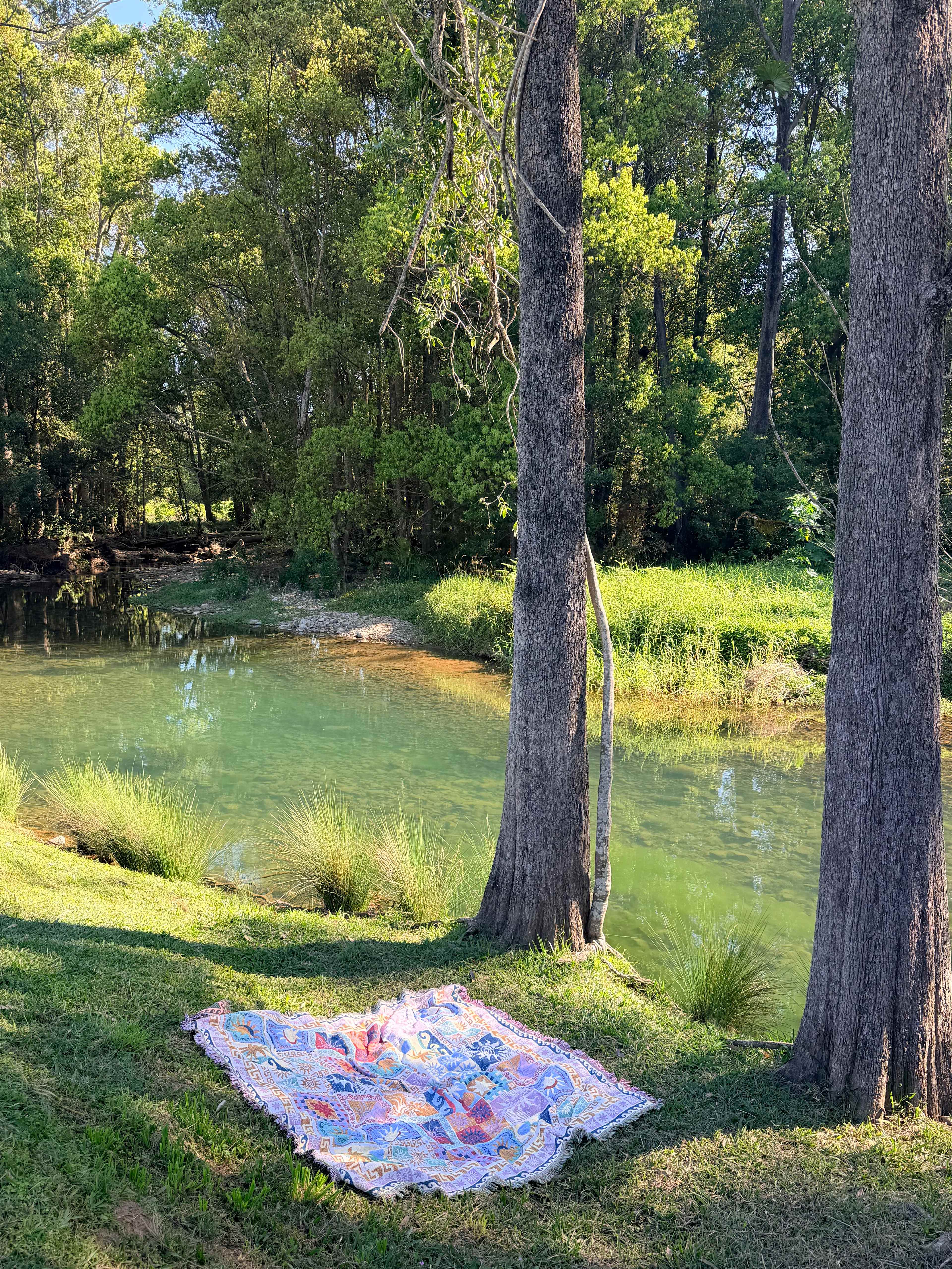 Crystal Creek Springs