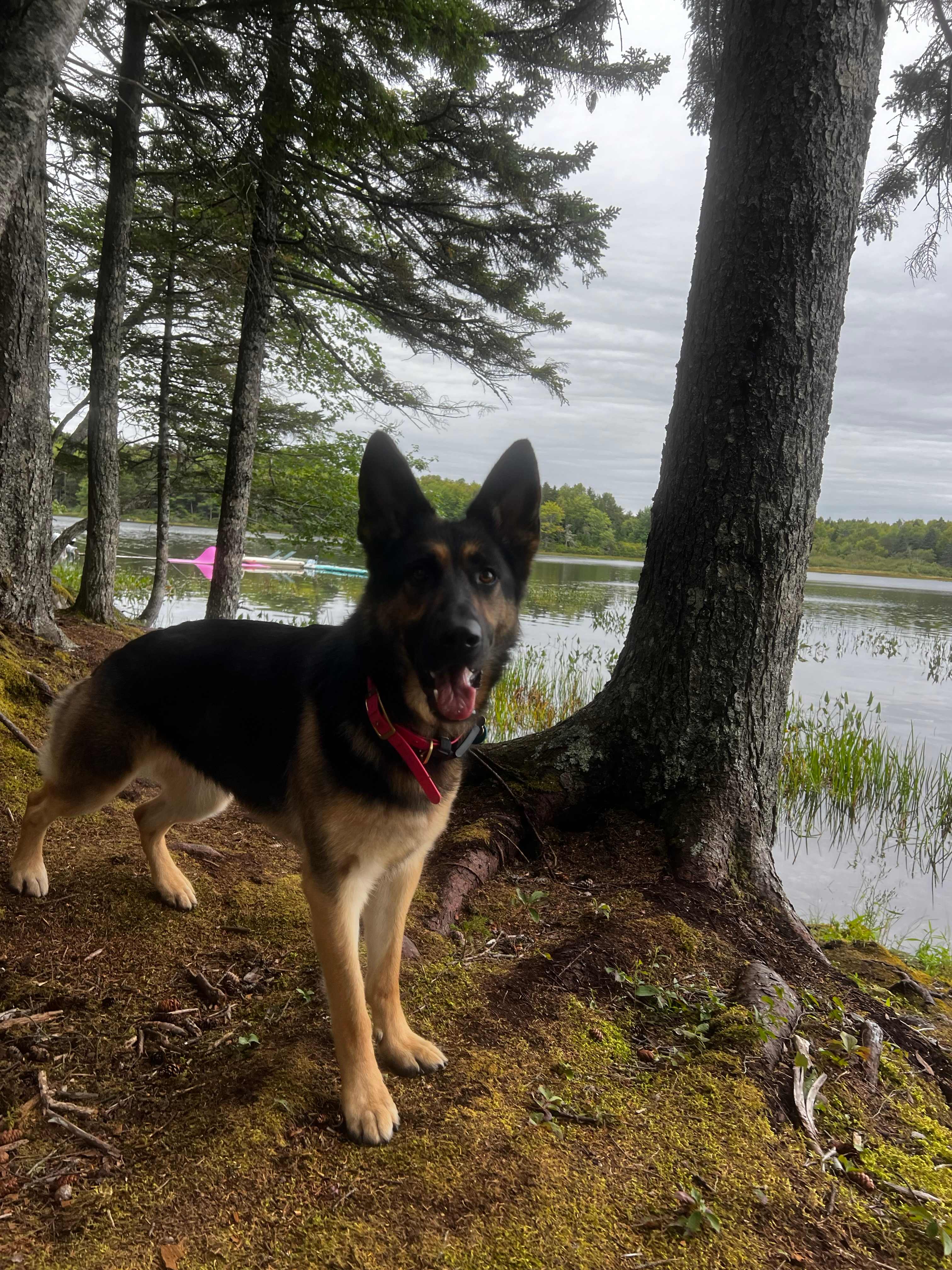 Conor's Landing