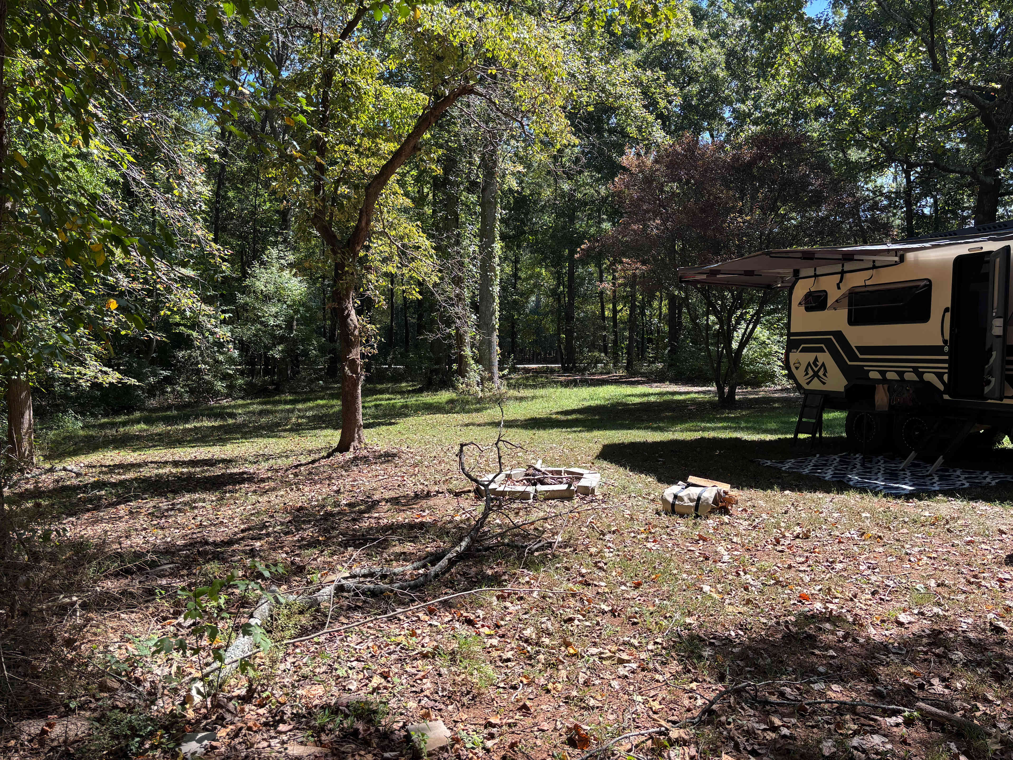 In The Woods