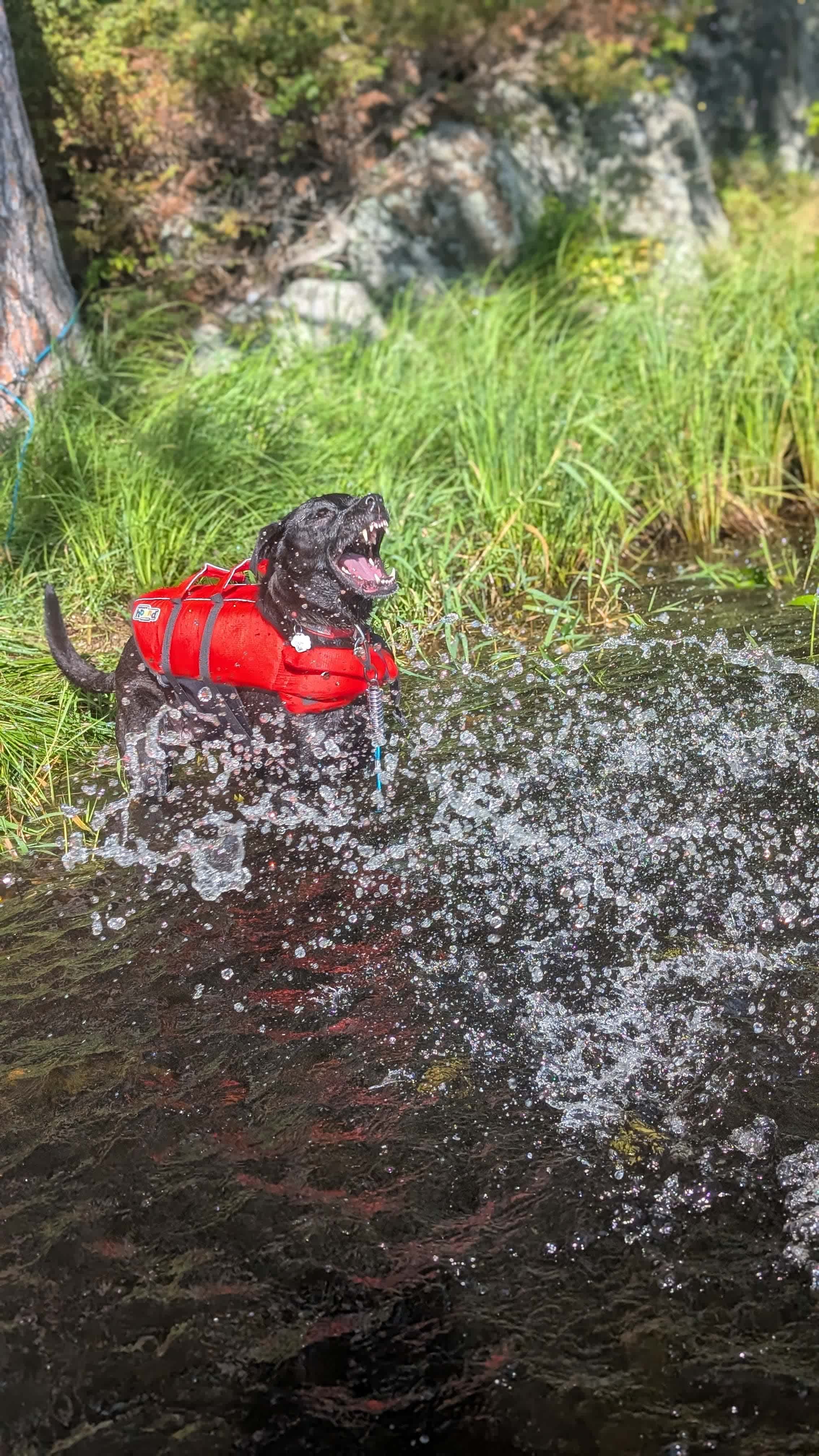 Wilderness Trails At Sumac