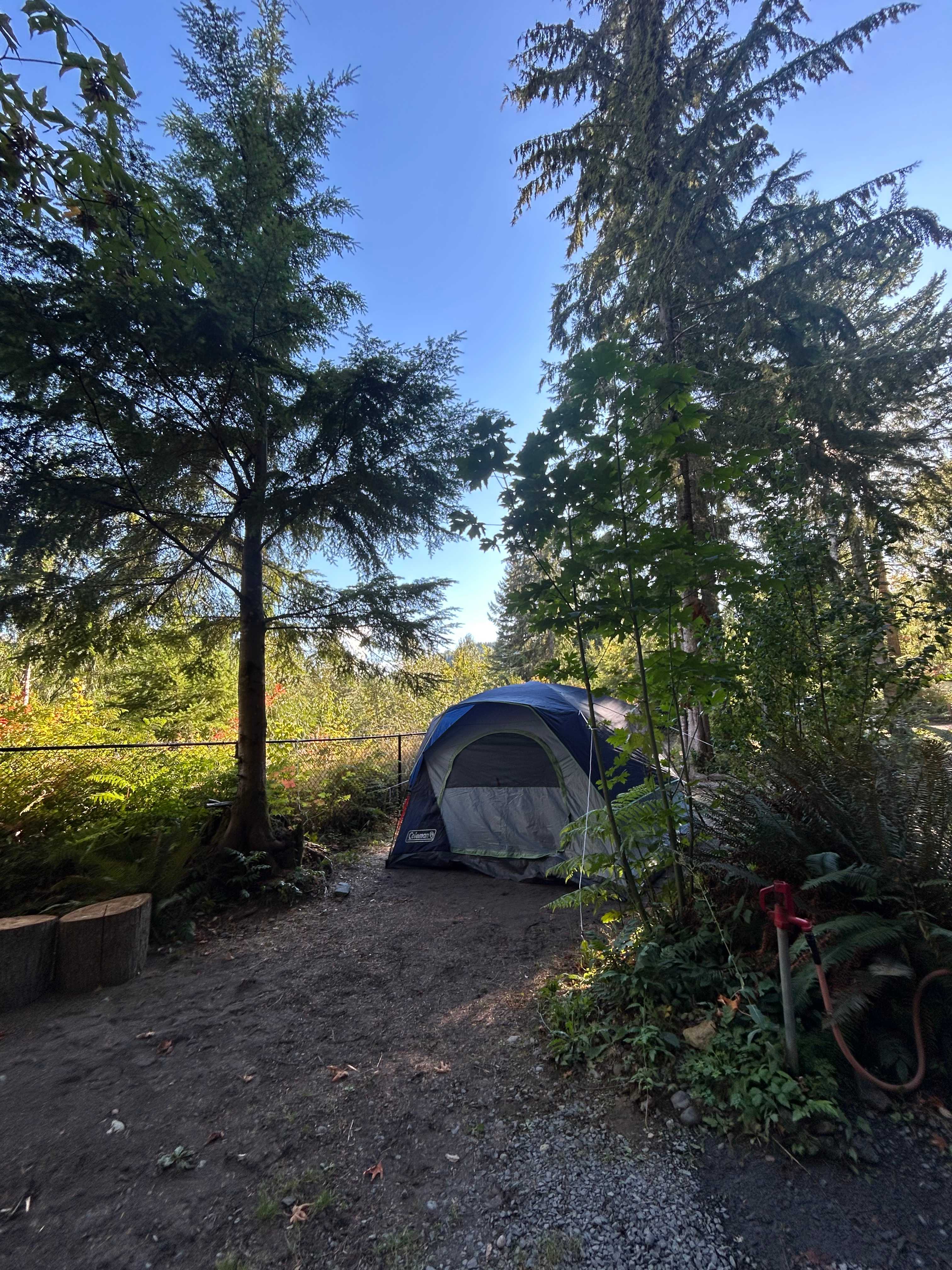 Riverside Camping Near Mt Rainier