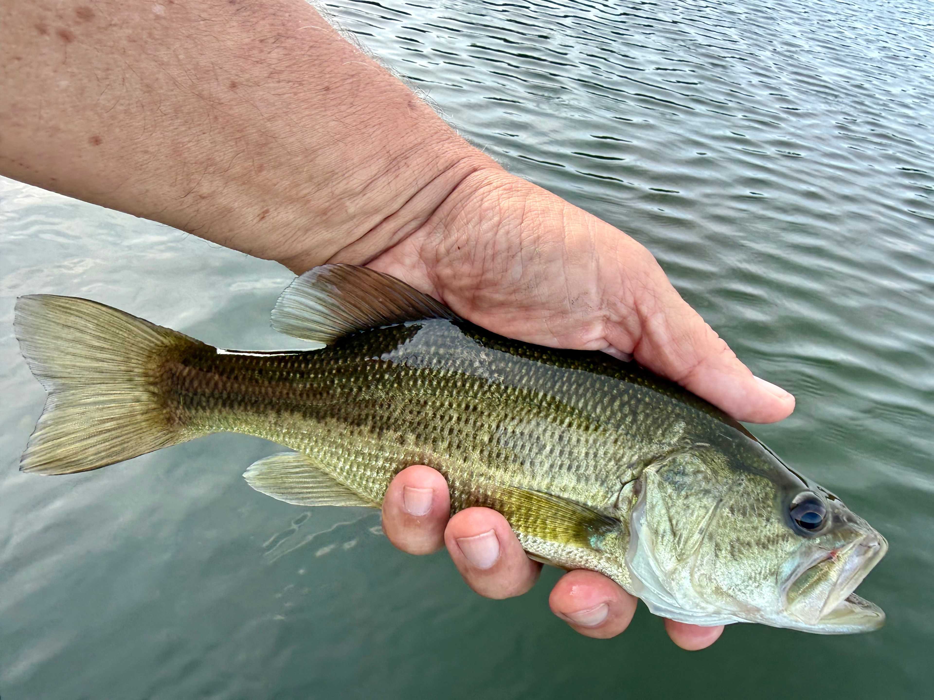 One of Givens’ many bass