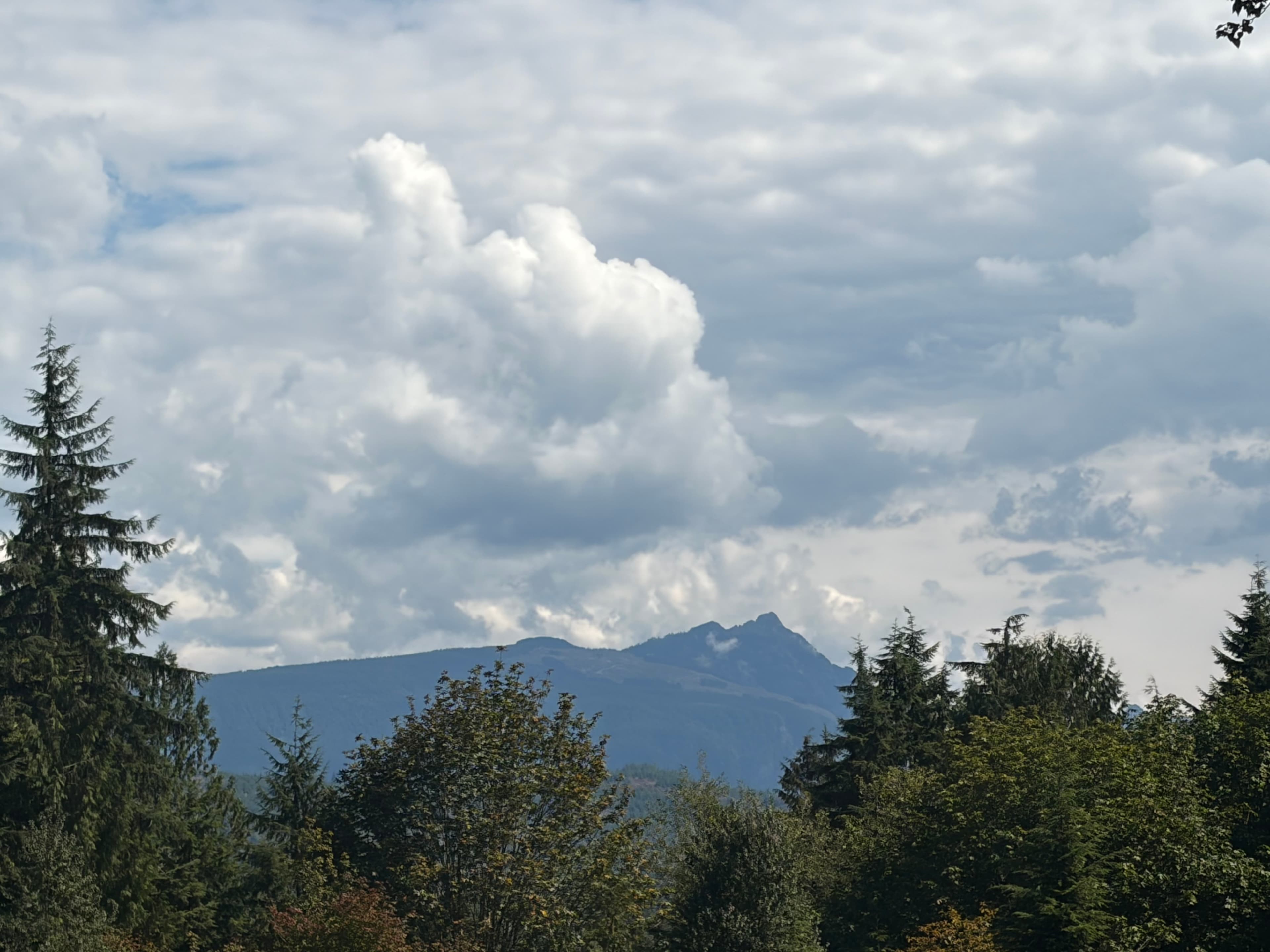 The PNW Landing (Monroe)