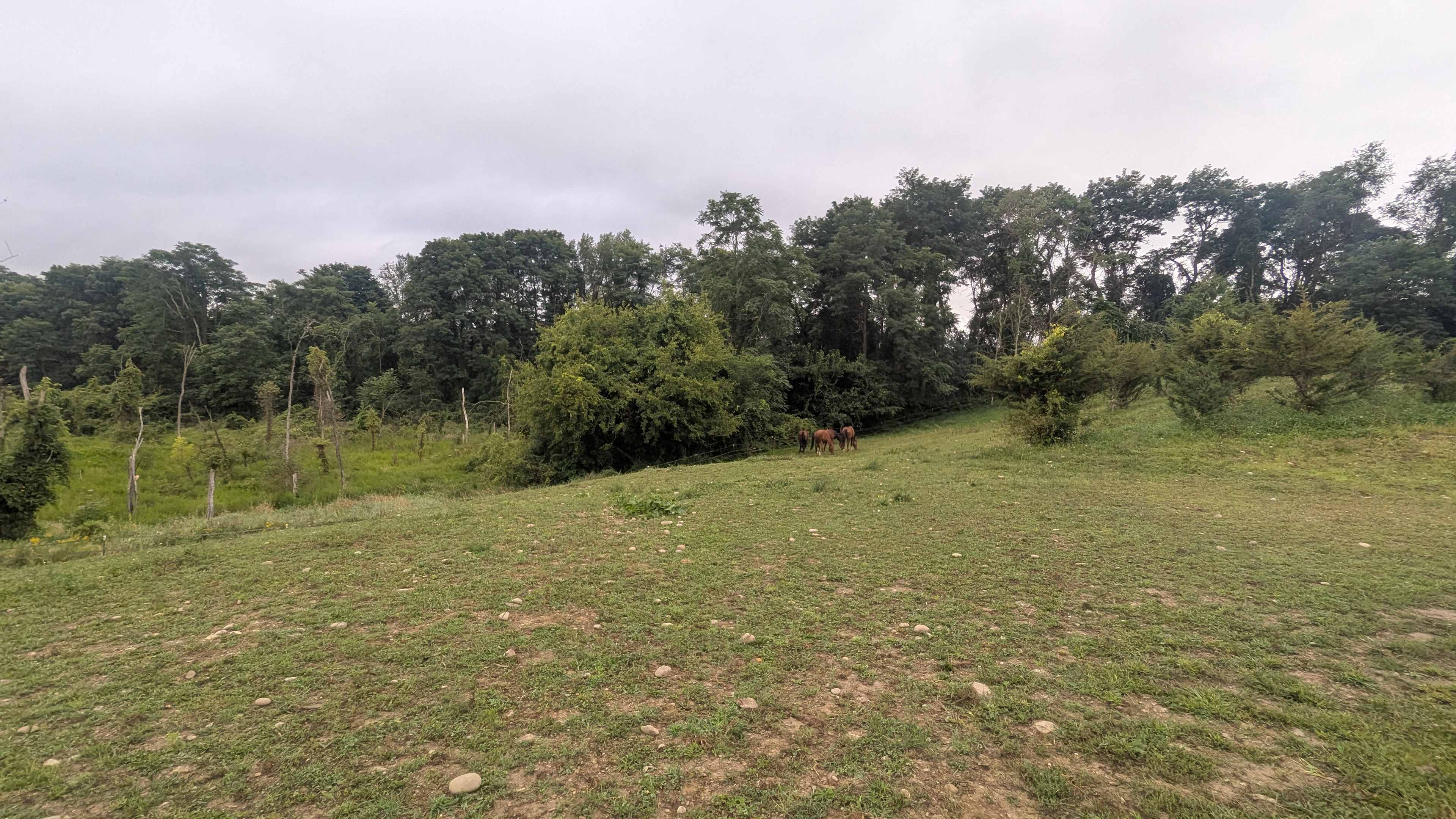 Liberty Farm On Turkey Hill