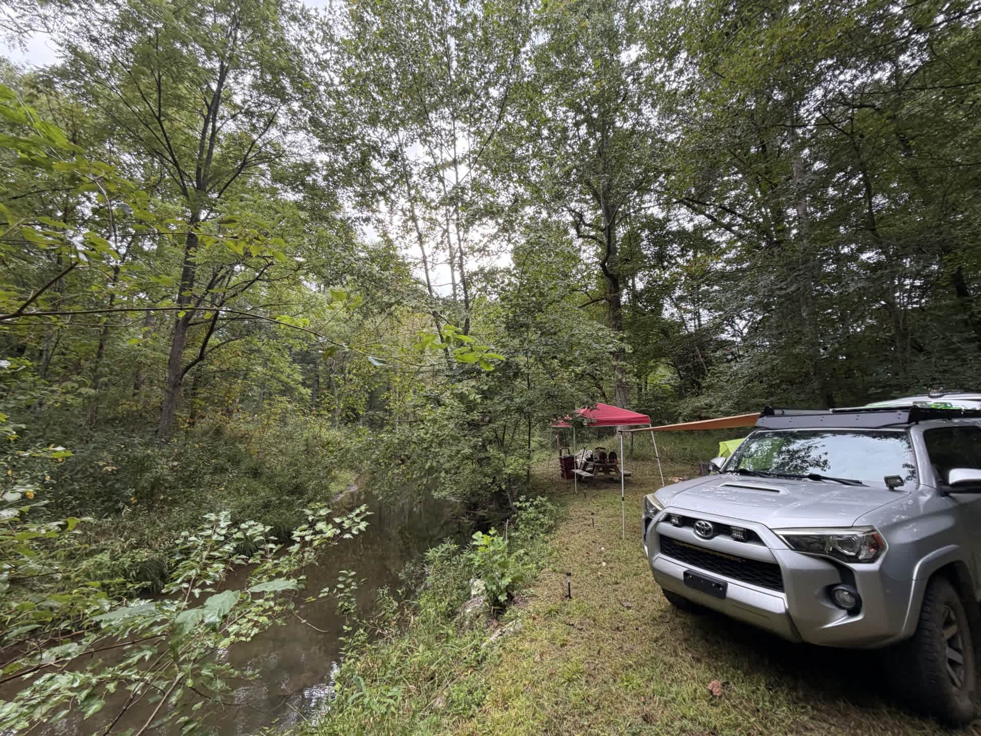 Coyote Valley Art Farm: Otto, NC