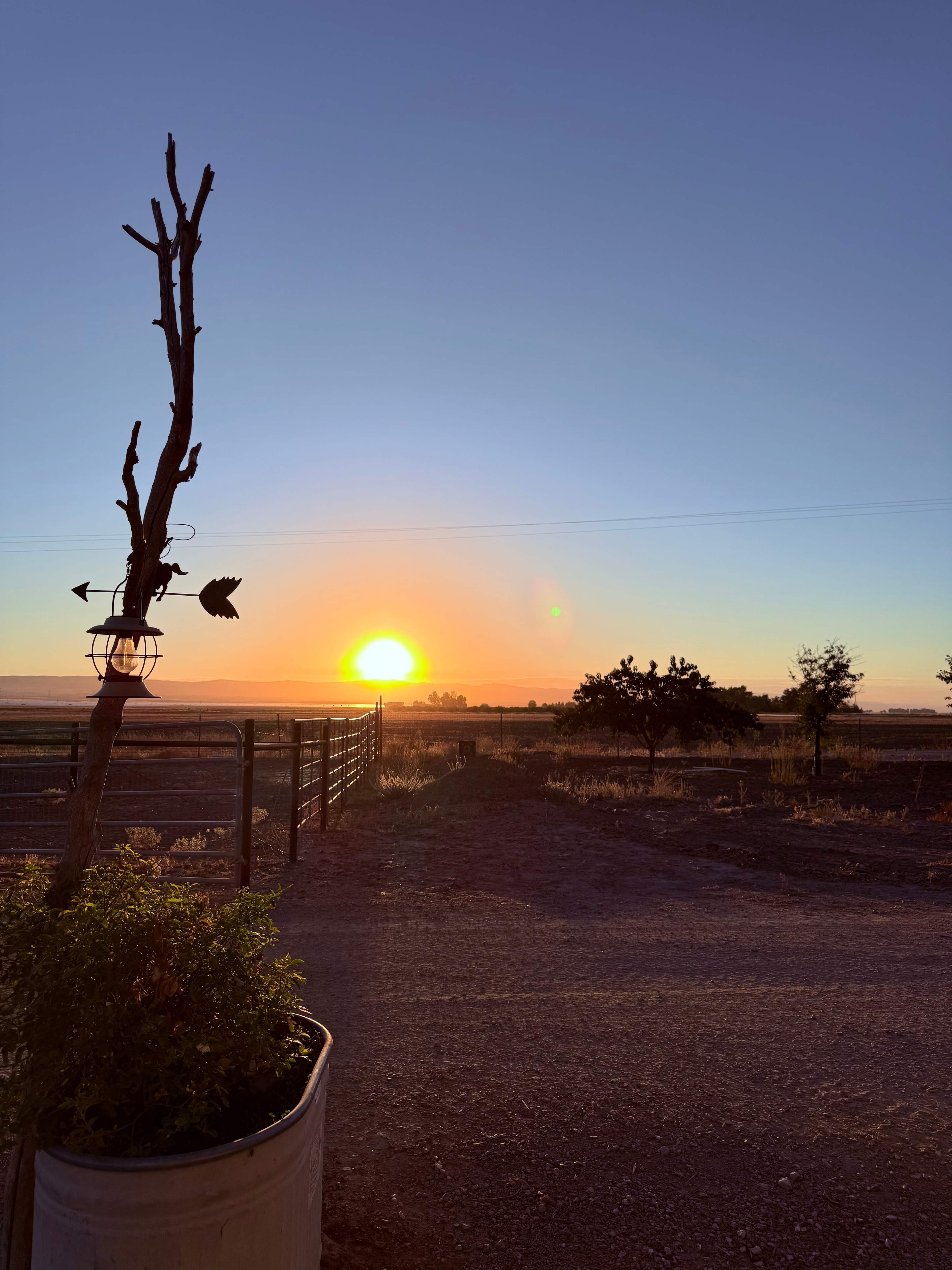 Grand sunrisings 