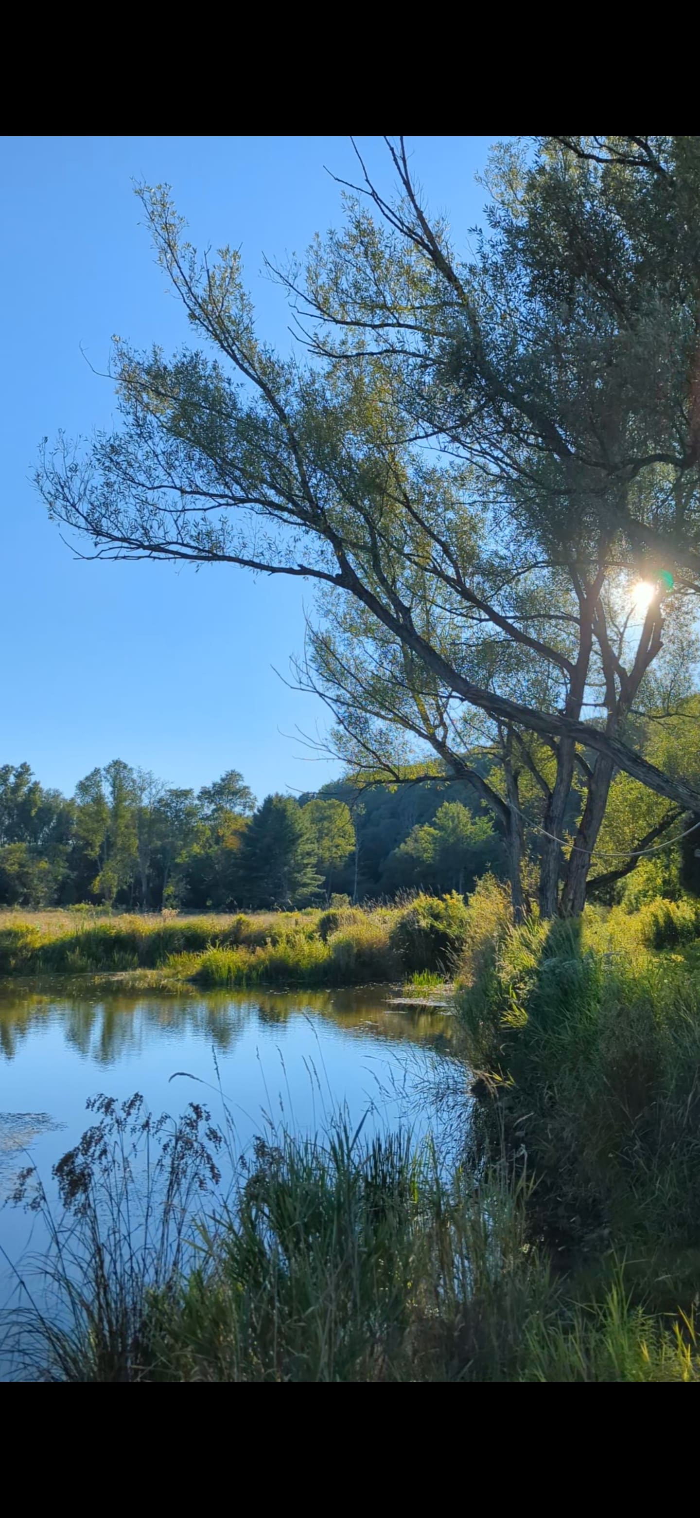Tempest Ranch camp