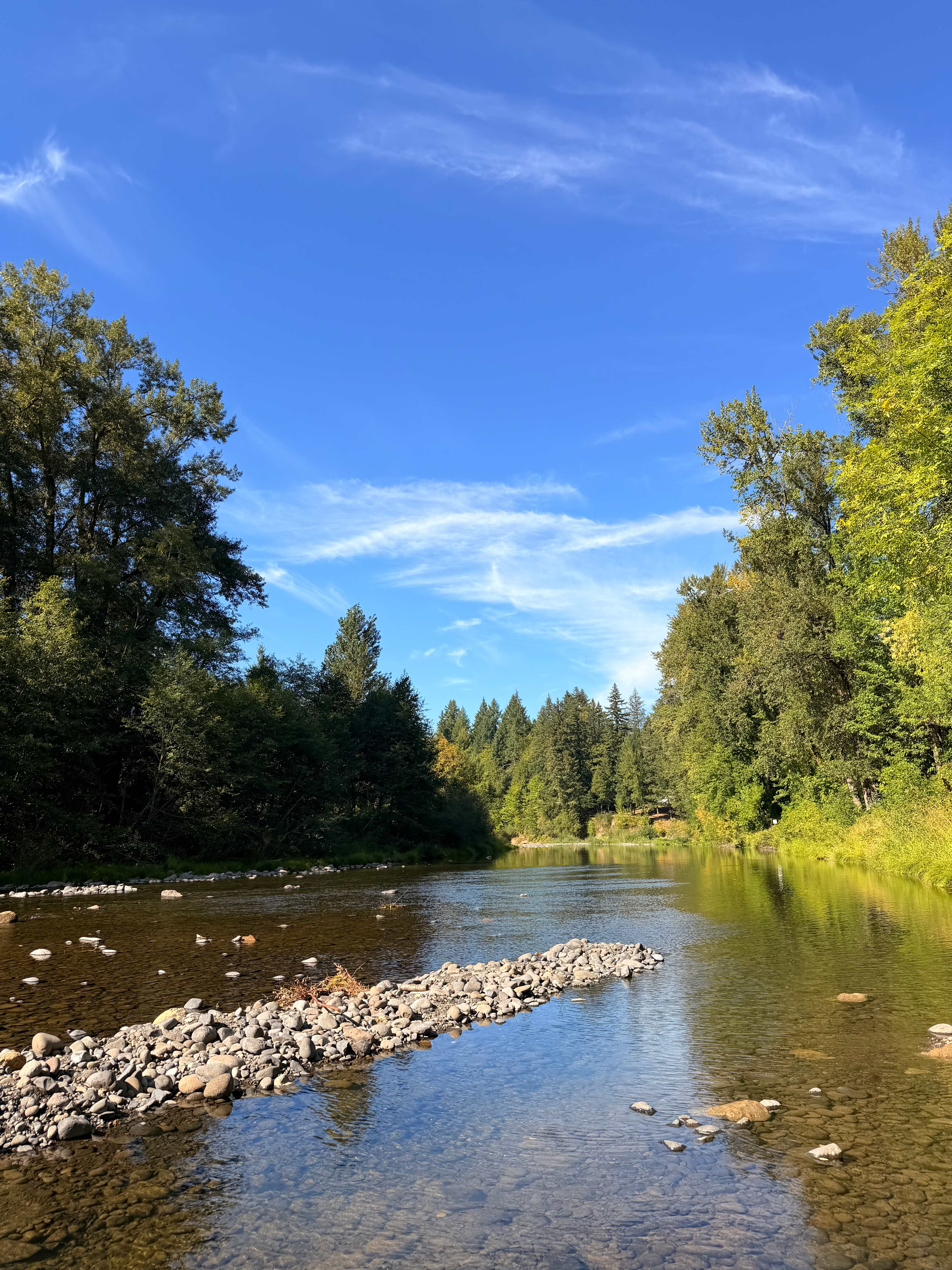 Molalla Ripple