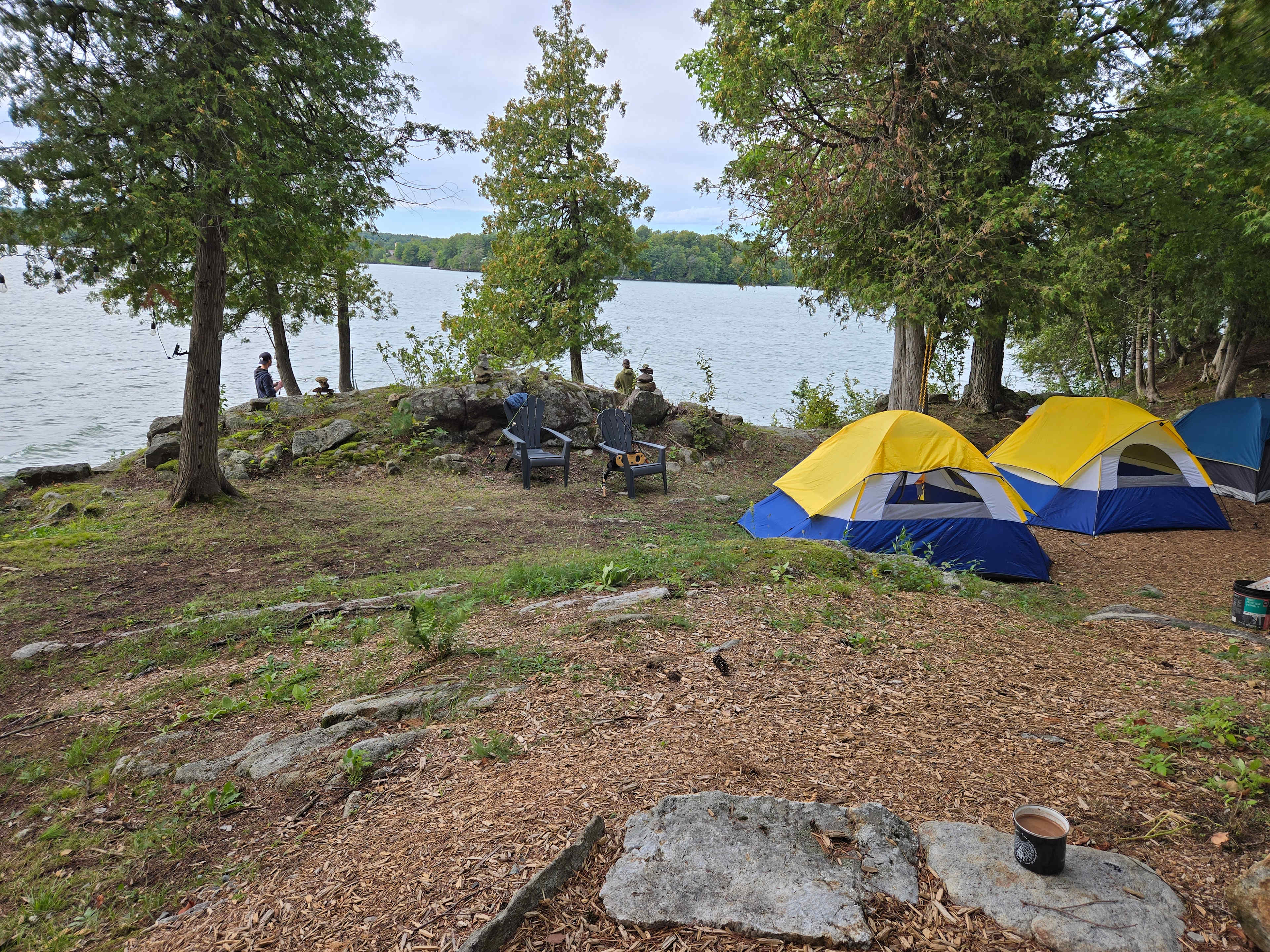 Cedar Cove Campsite