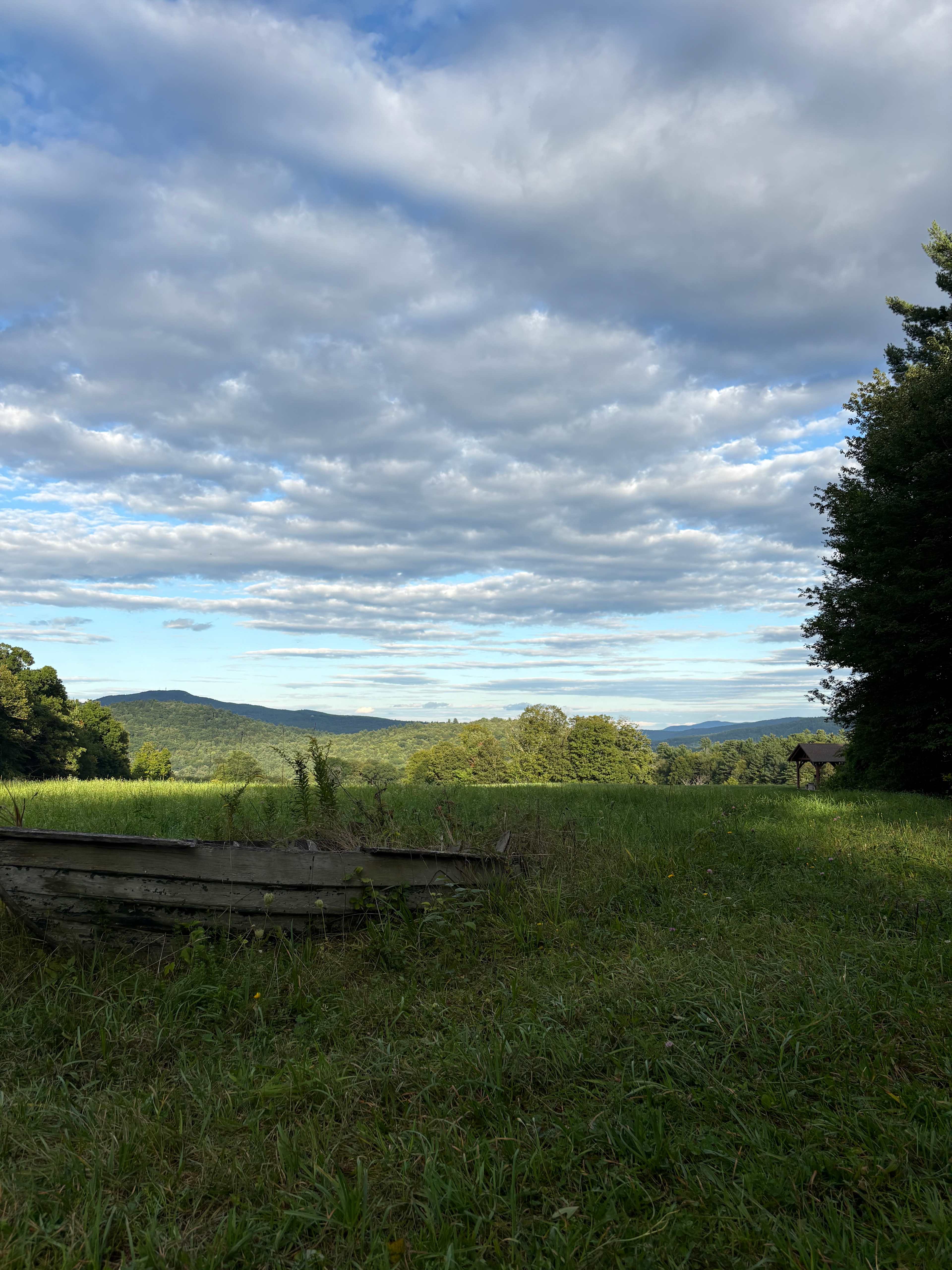 Dancing Bear Farm
