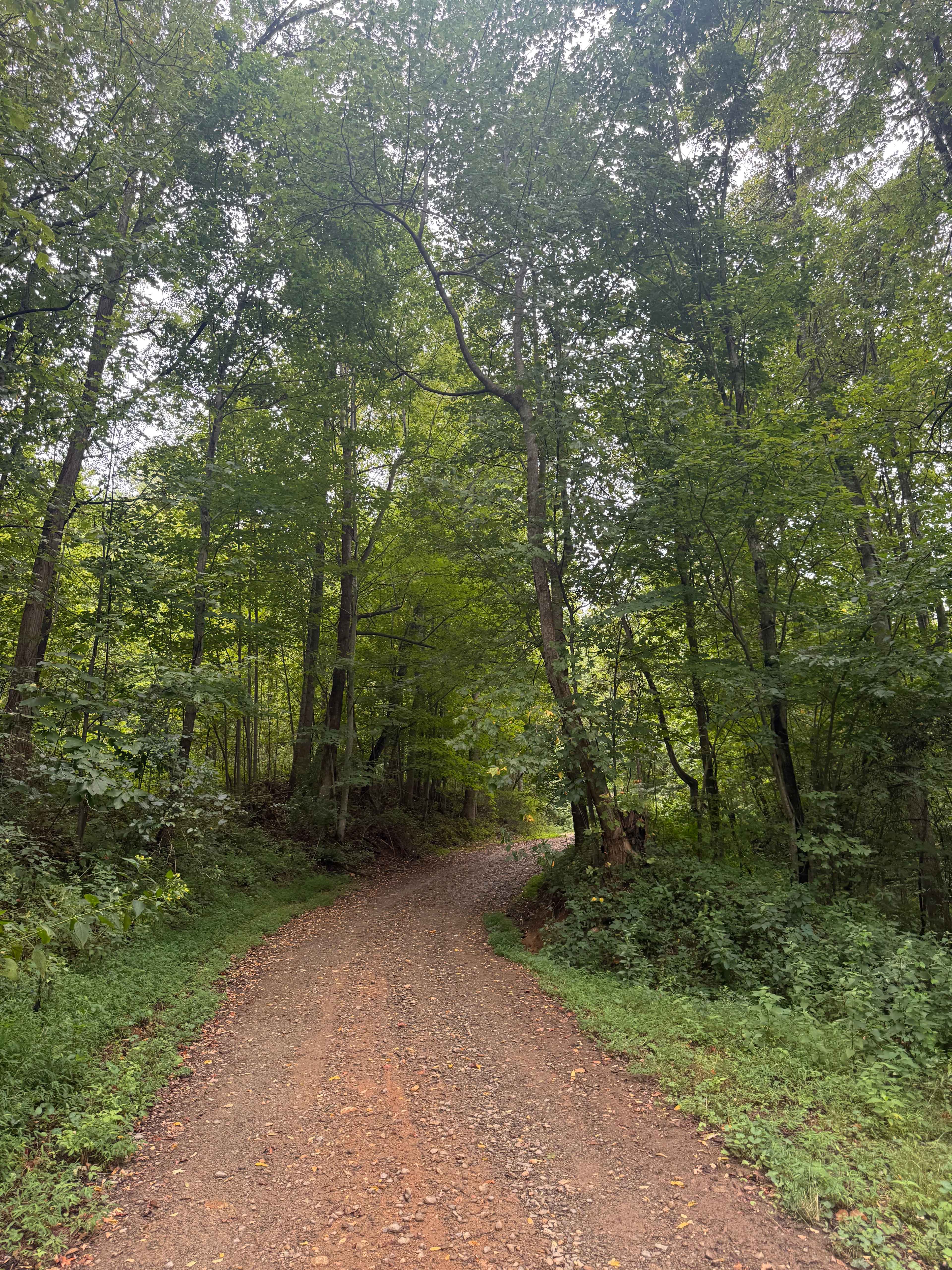 Mountain Farm Camping & Glamping