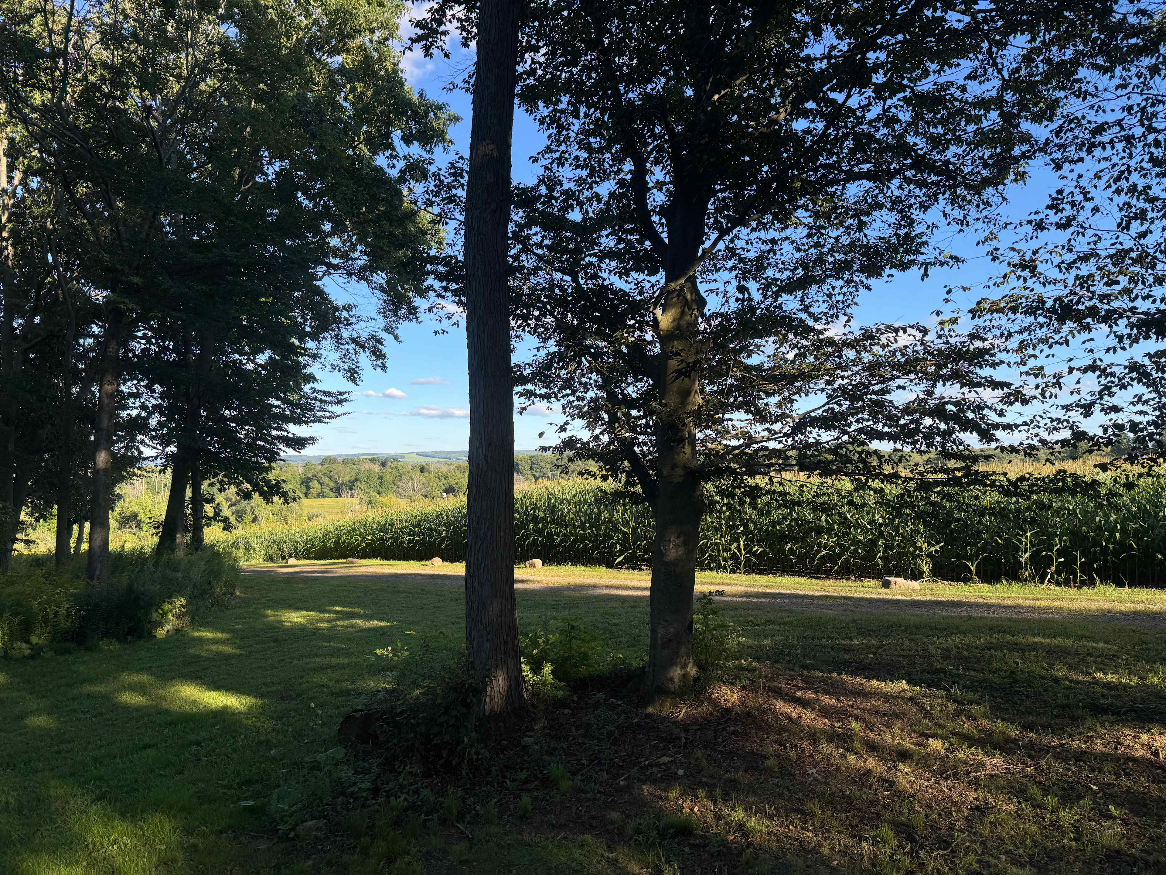 McCormick Farms Base Camp