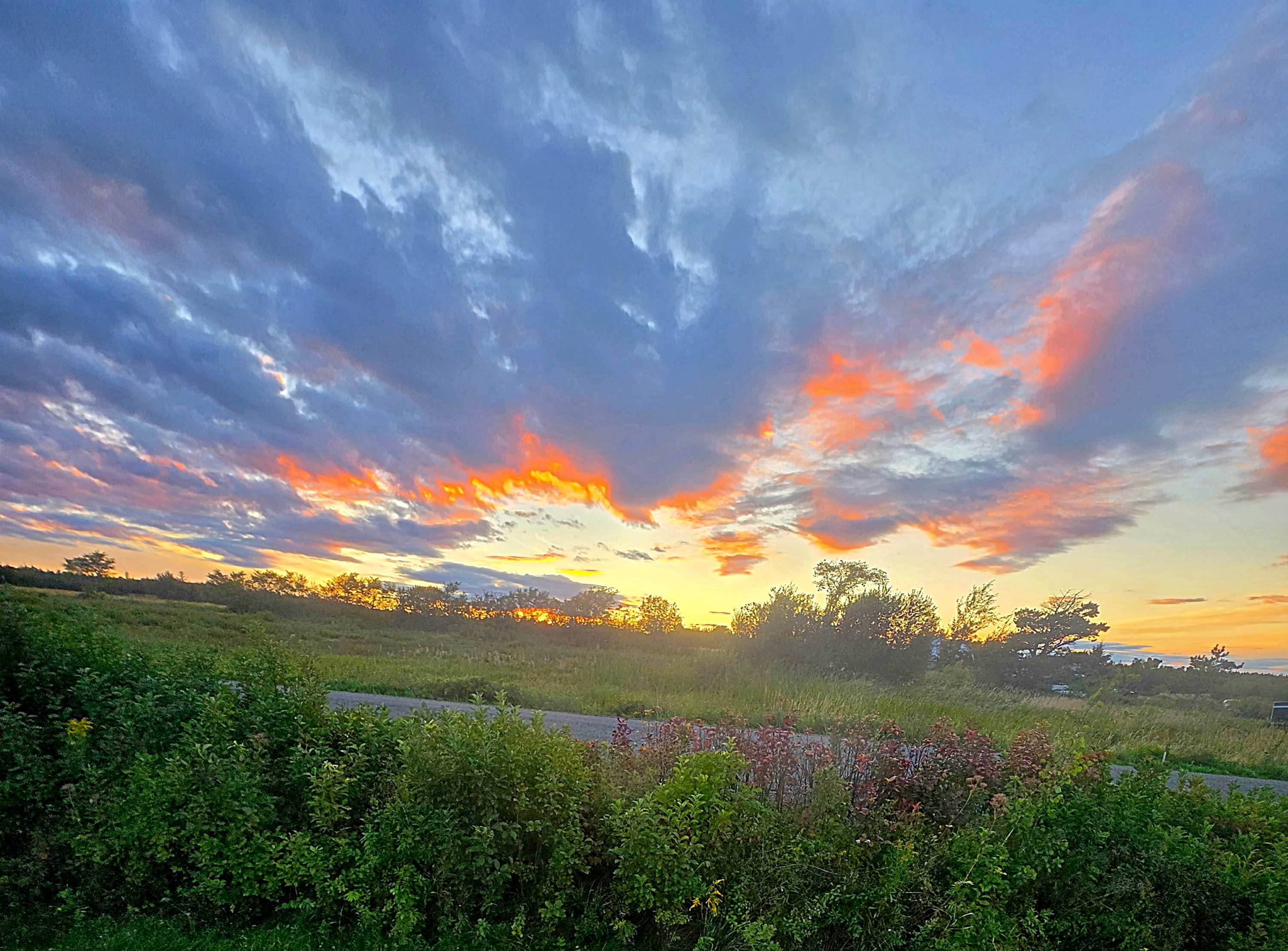 Acadian Coastal Camping & Dog Park