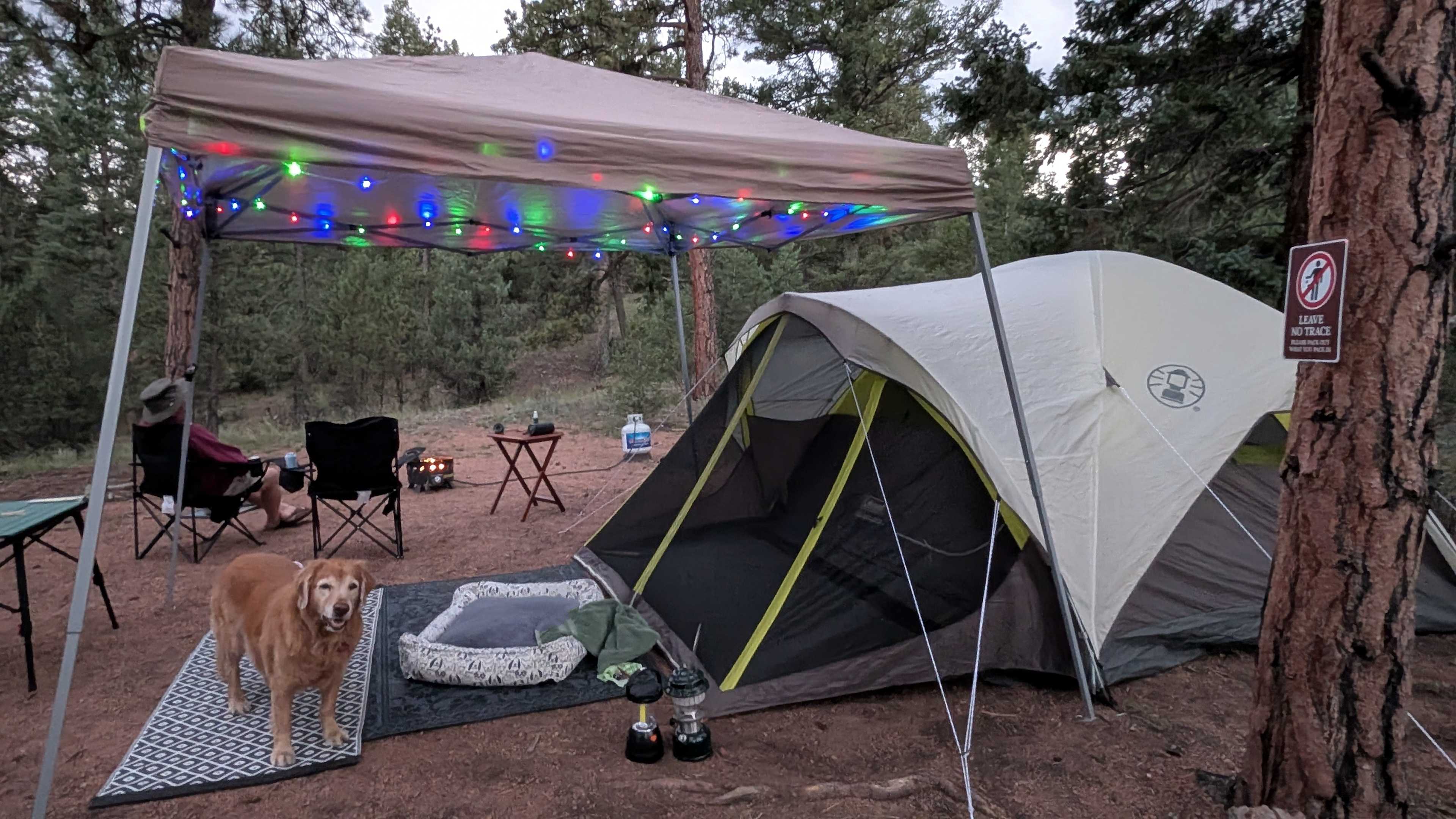 Favorite place to camp