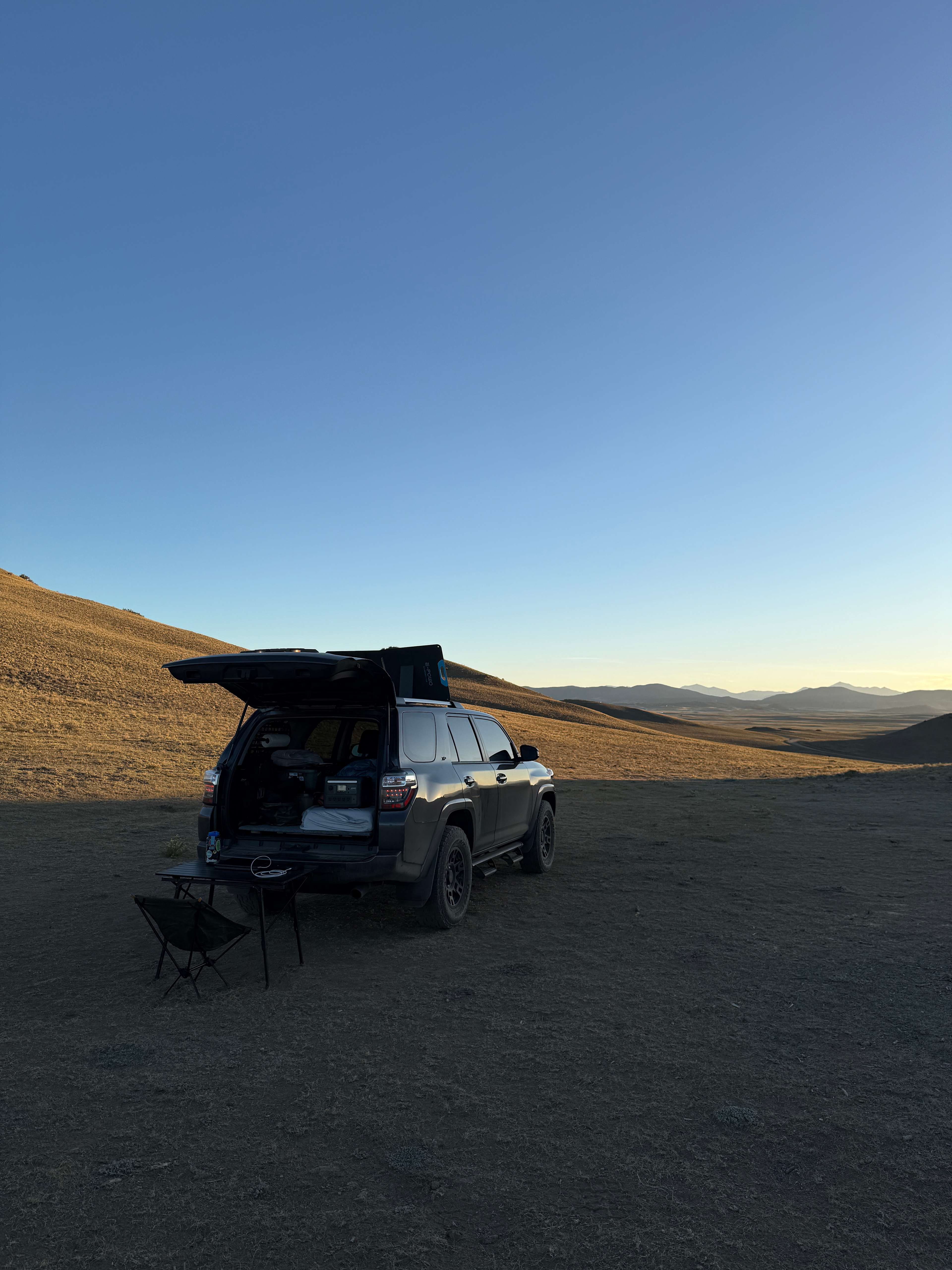 Pronghorn Oasis