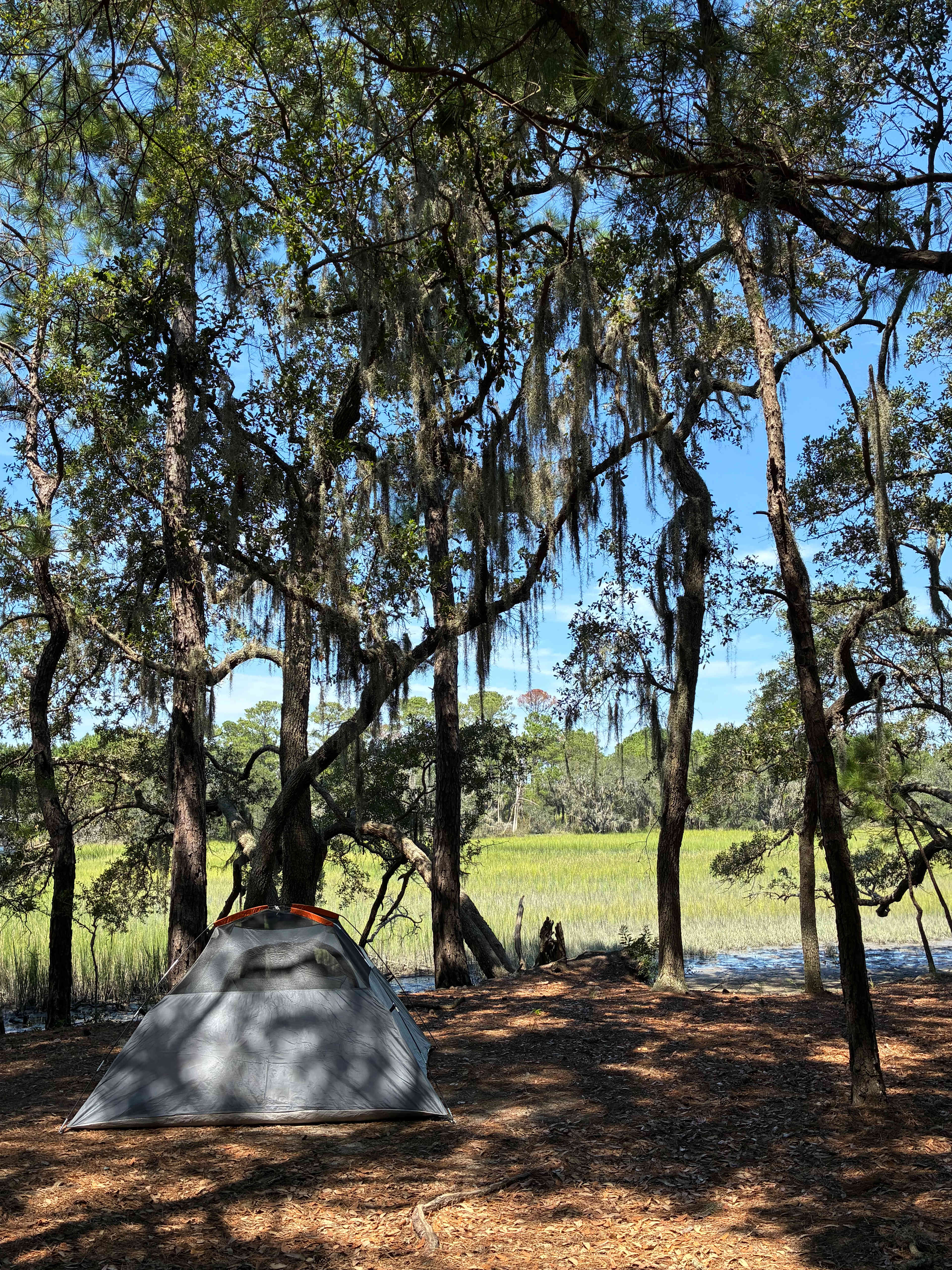 Hanscombe Point Plantation