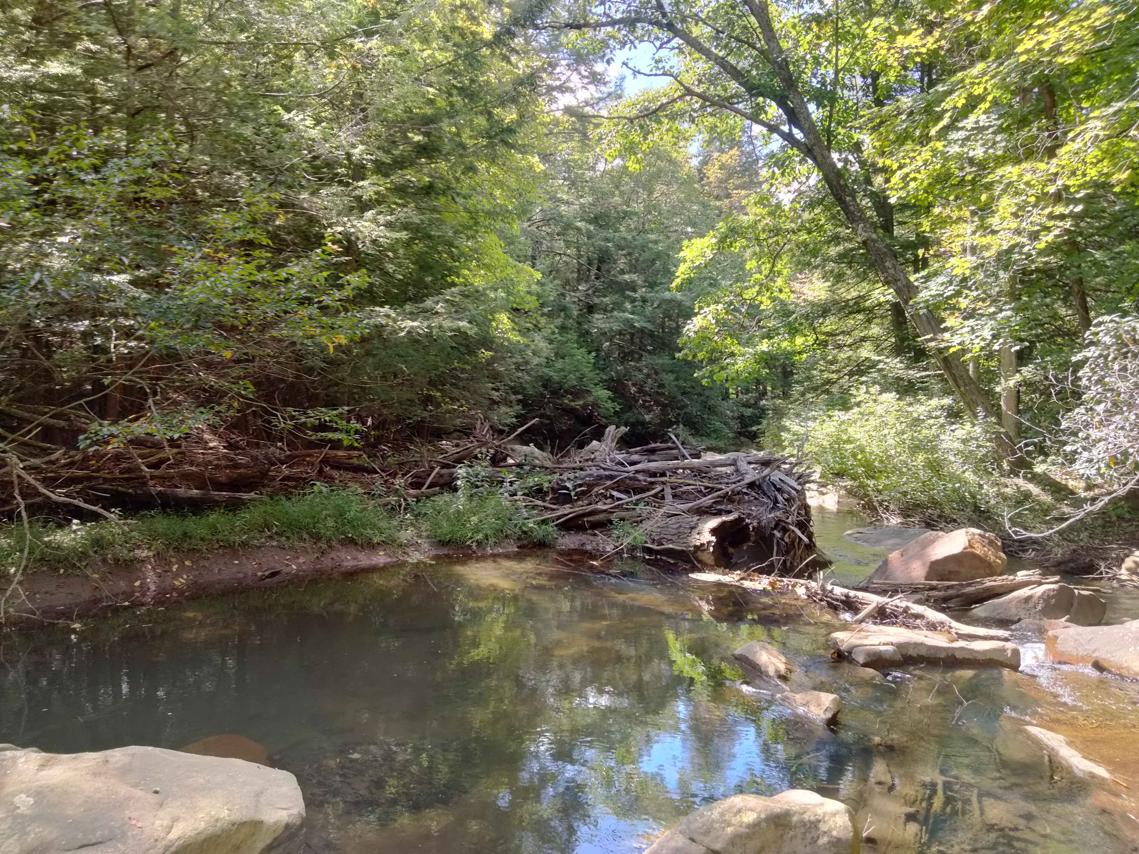 Abrams Creek Campground/Retreat