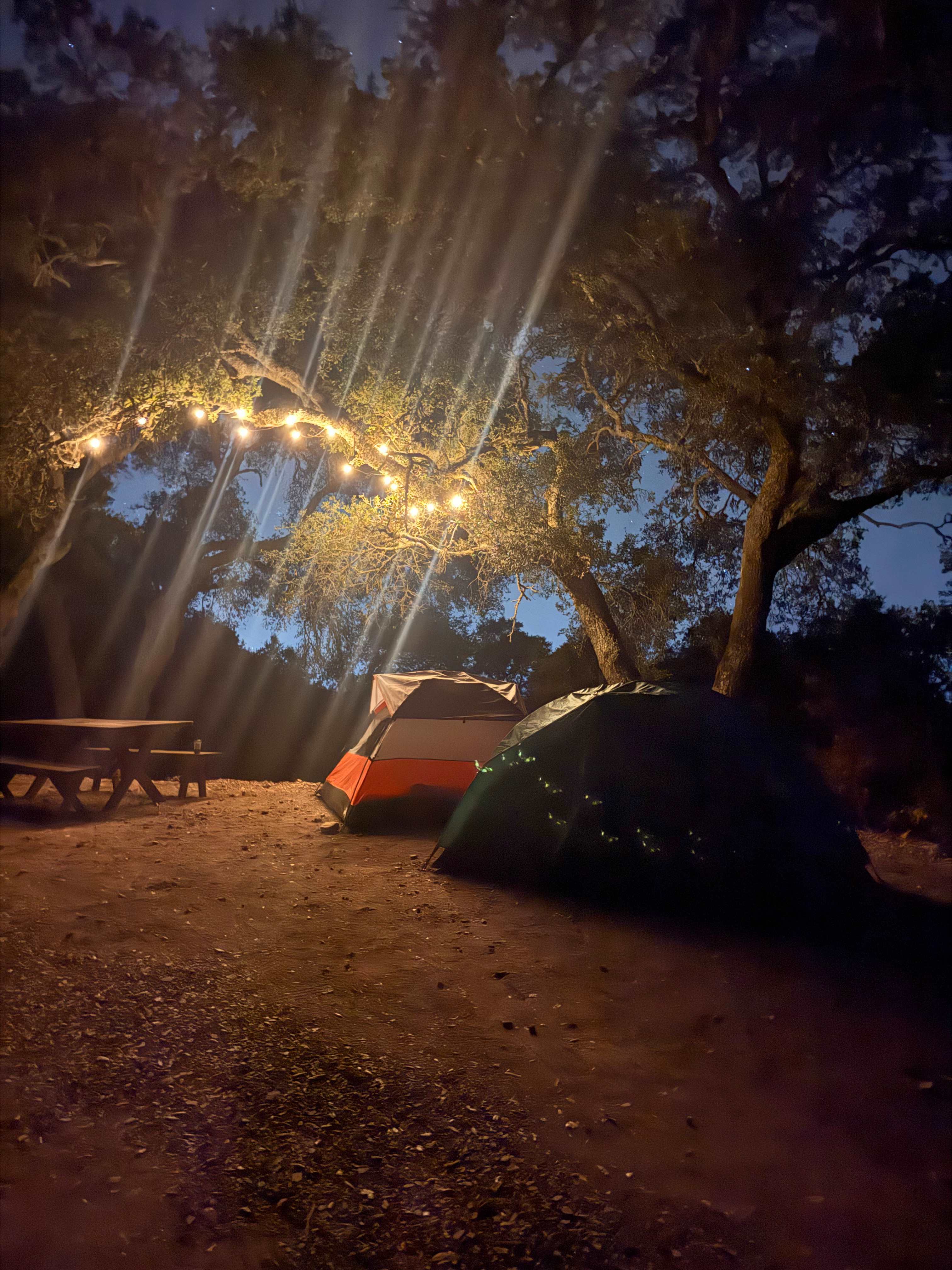 Fairy lights were already hooked up when we got there. 