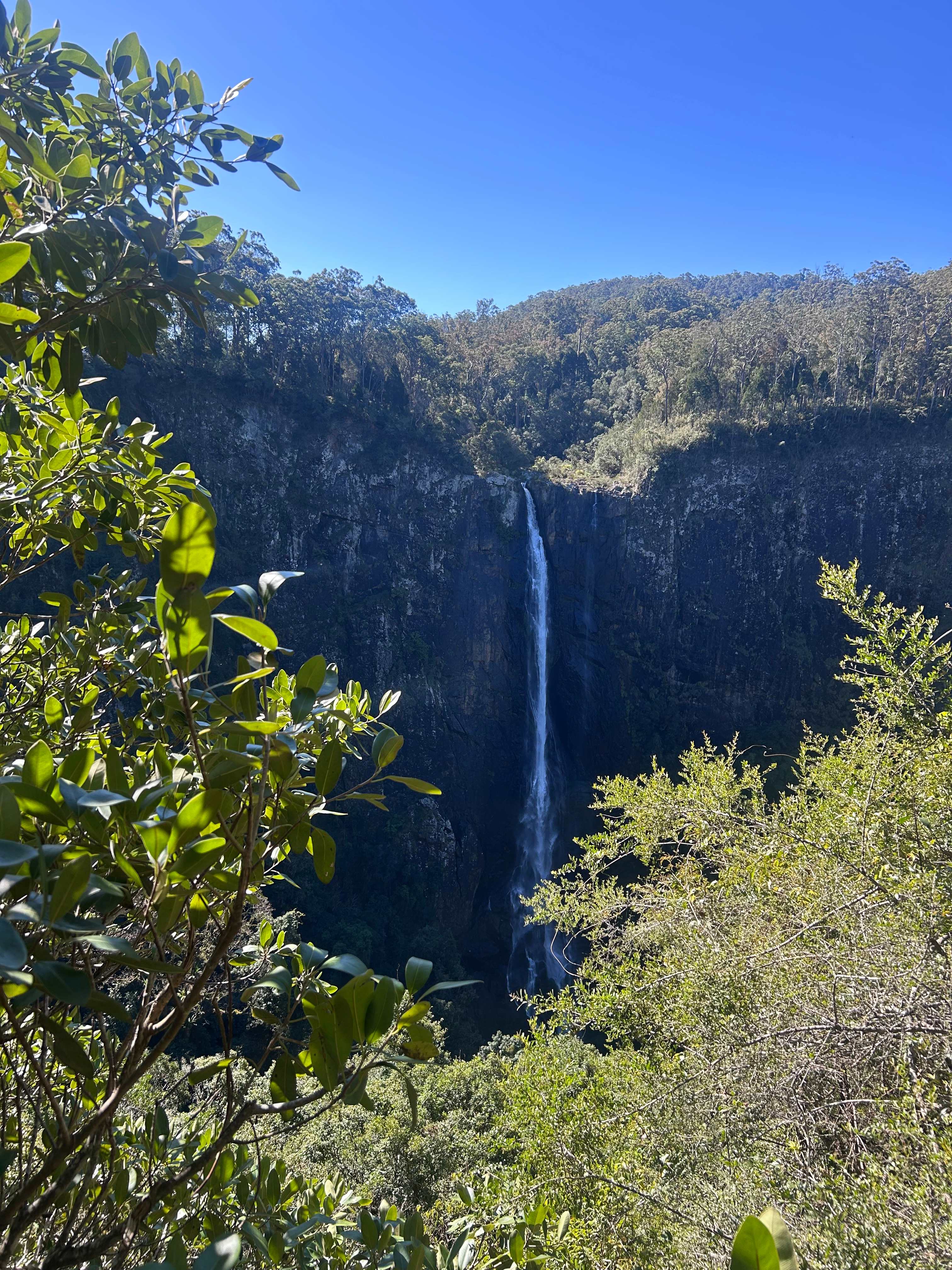 Homeville Camping and Farm Stay