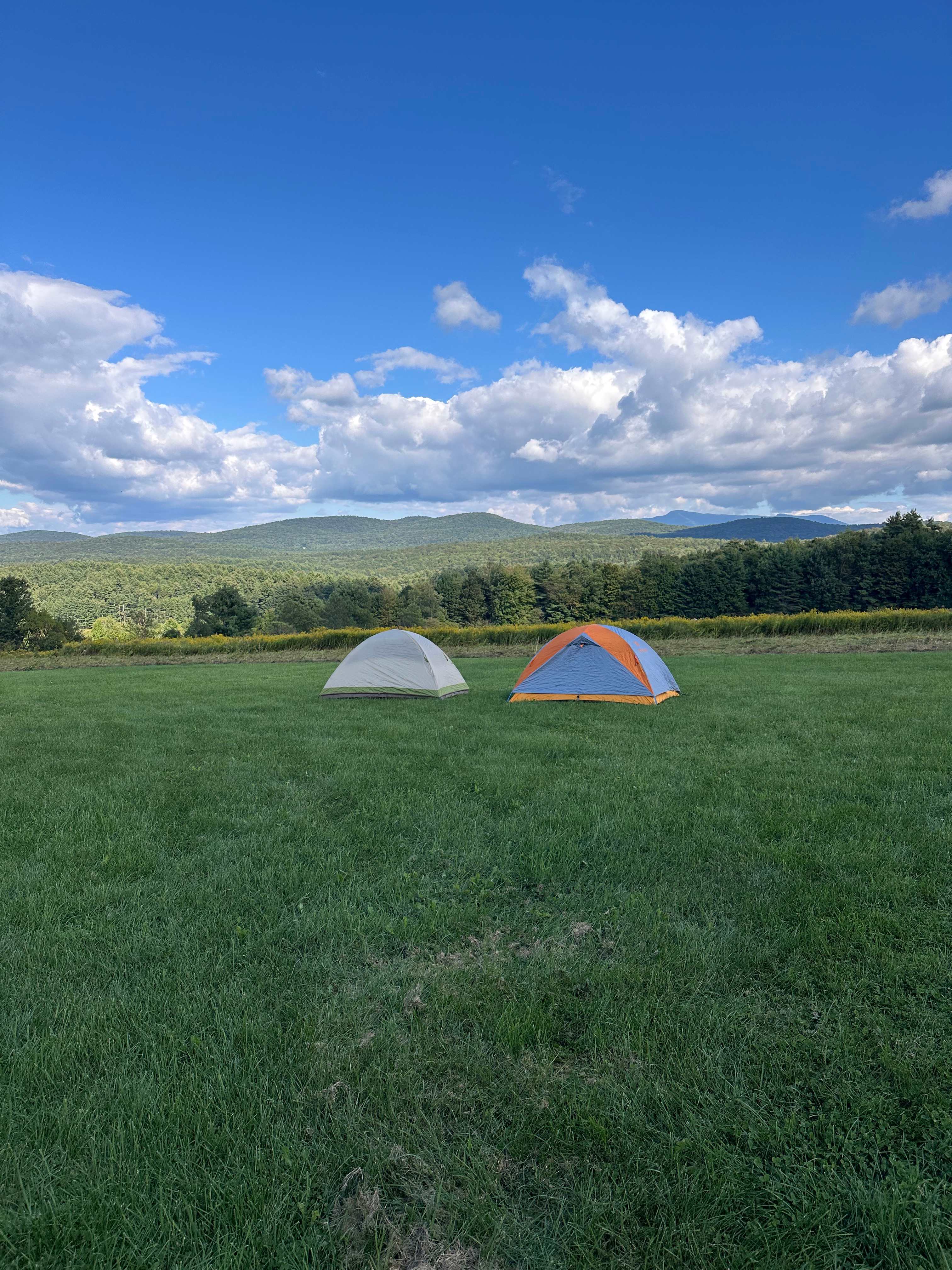 Harold's View Farm