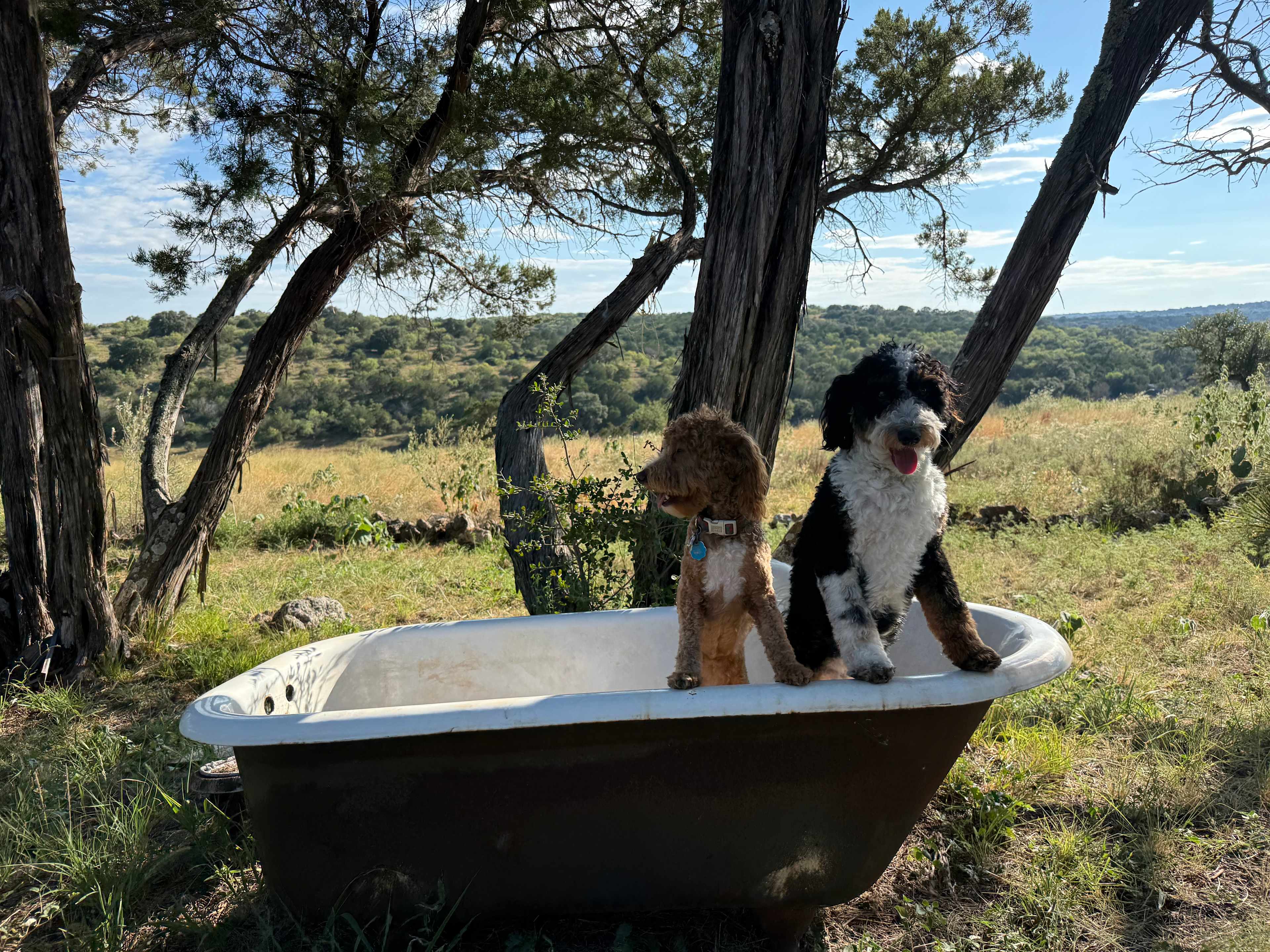 Saba Springs Ranch