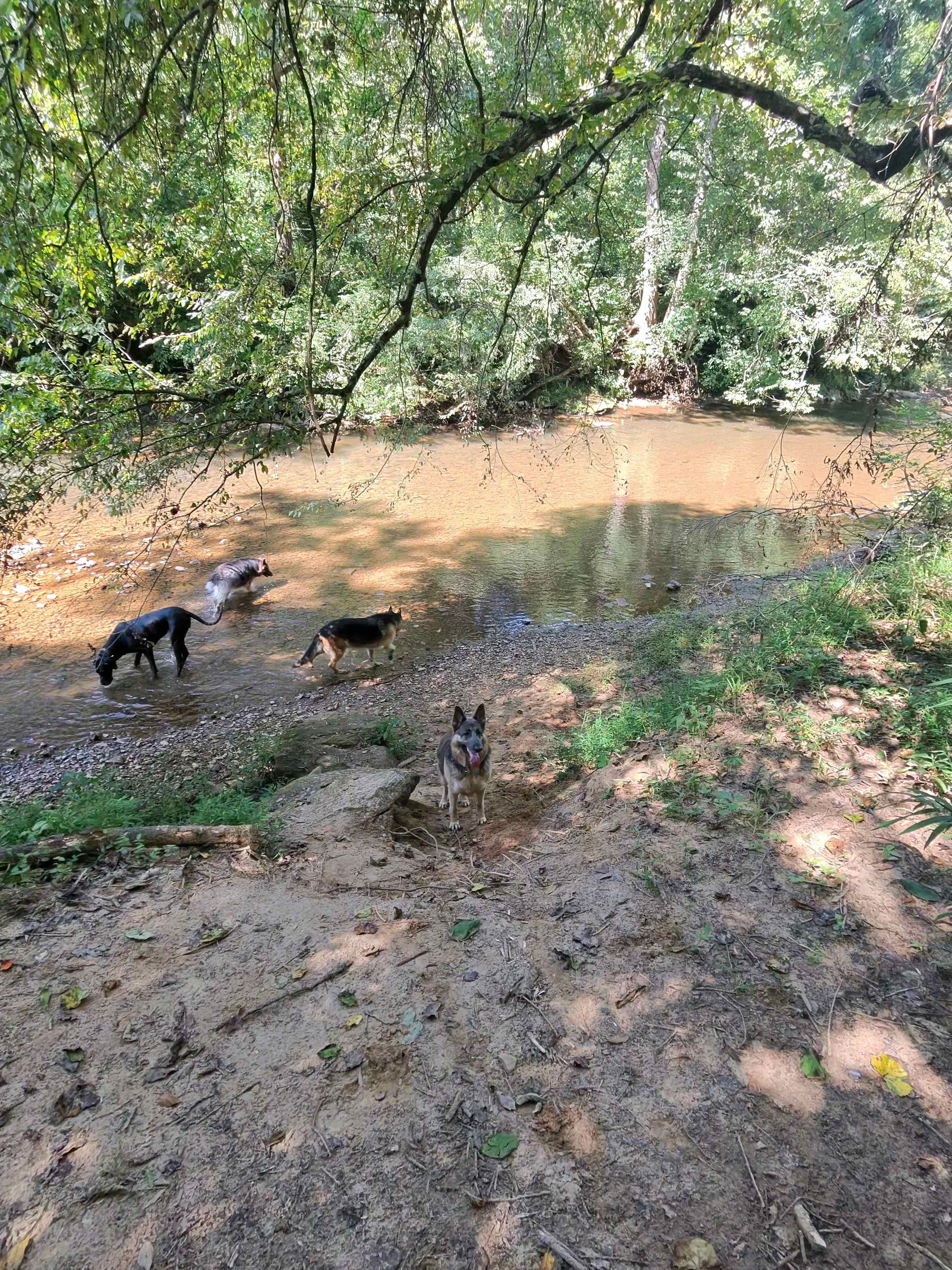 Tellurian Family Campground