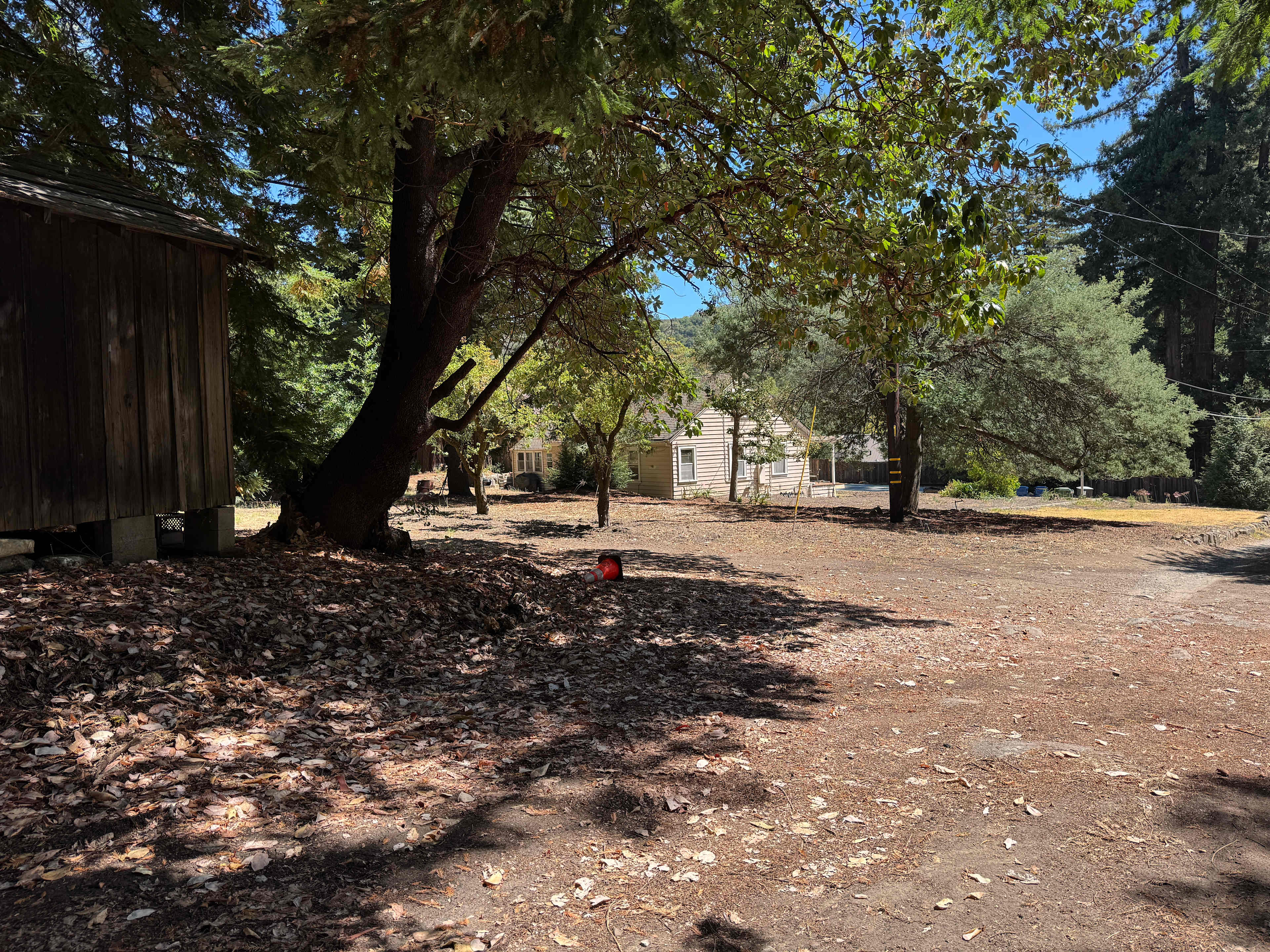 Redwood Meadows