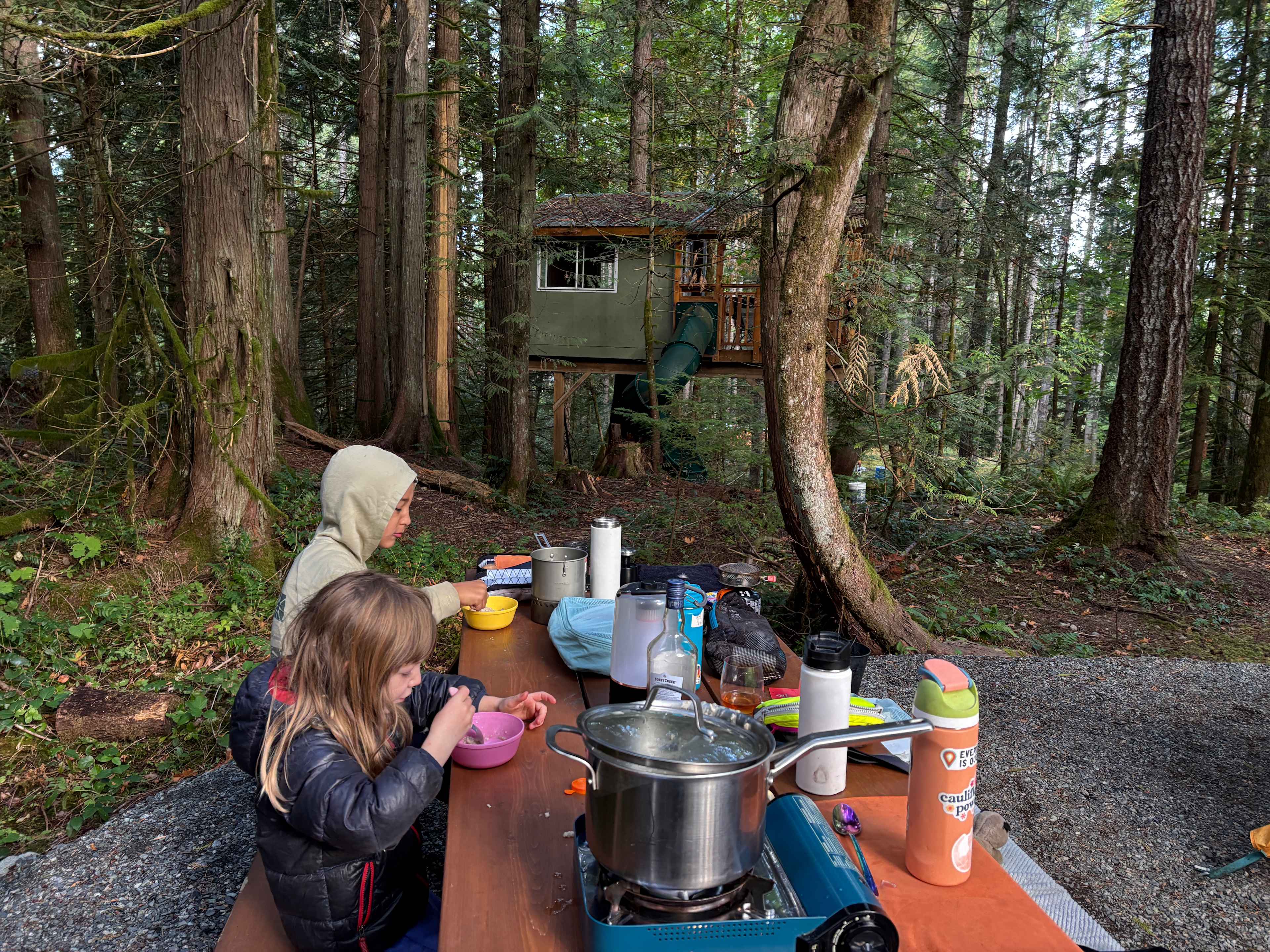 Forest Hideaway