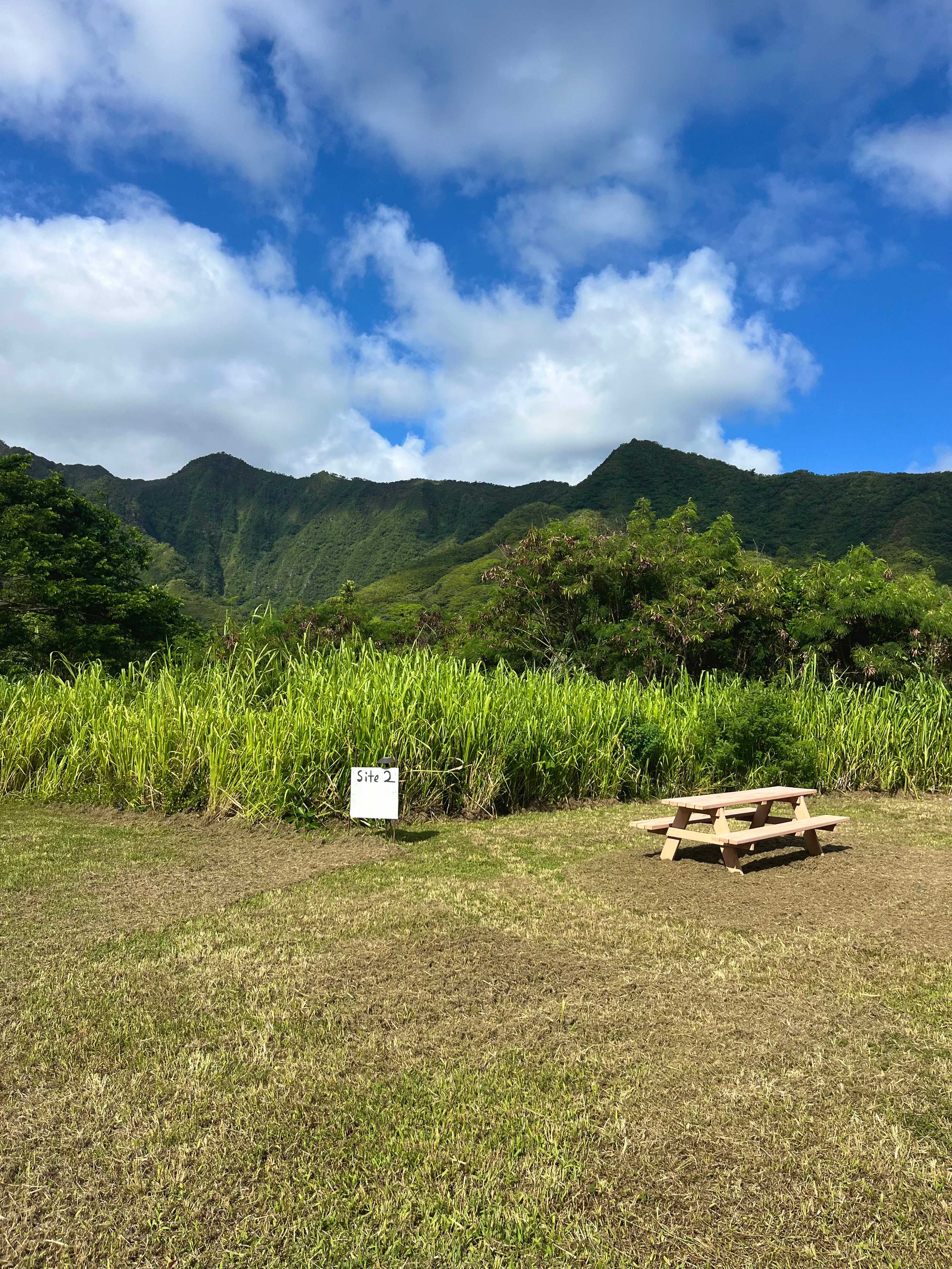 Picture of the site