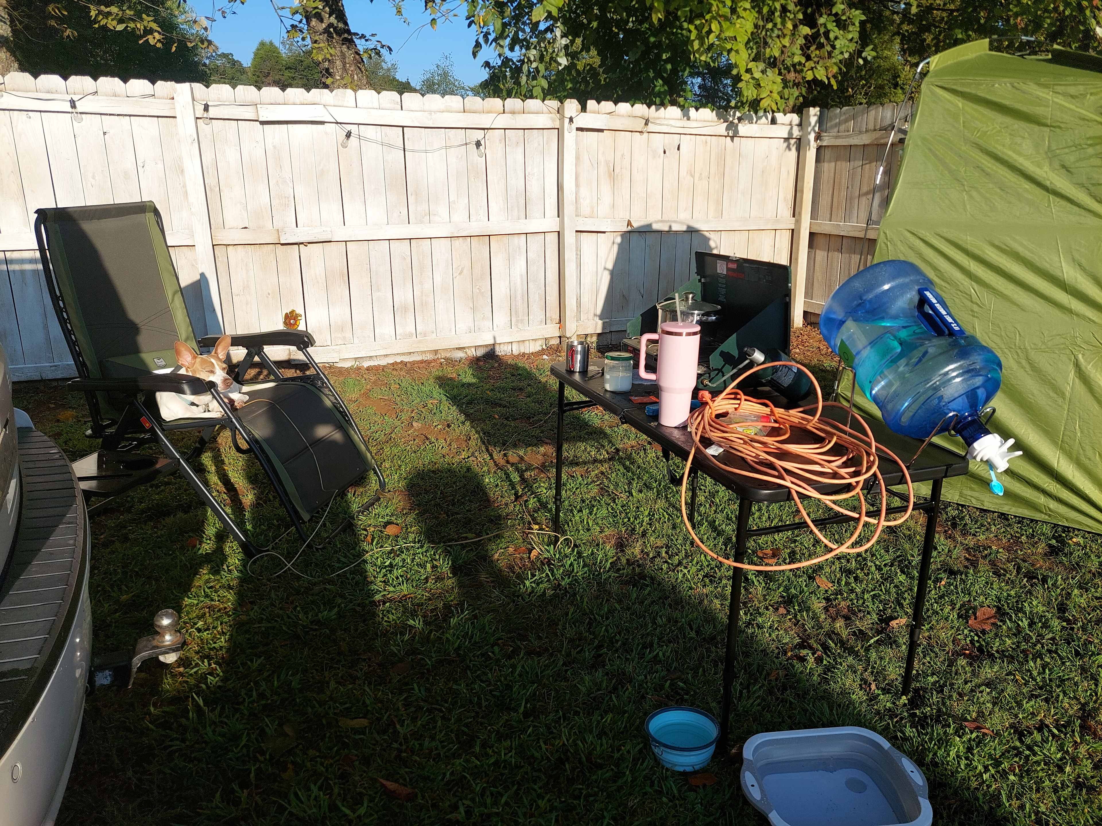 Picture of the site