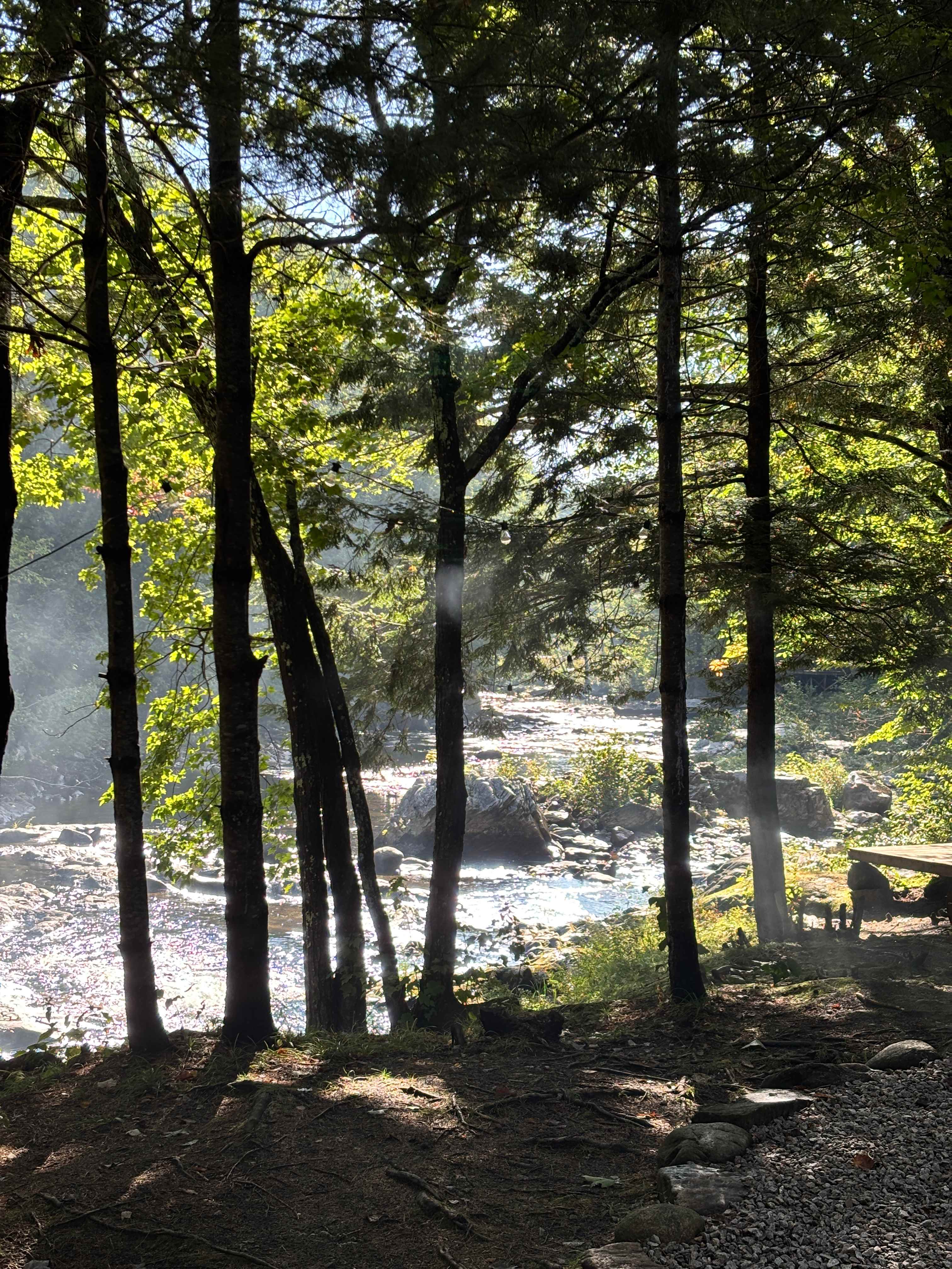 Morning sun
