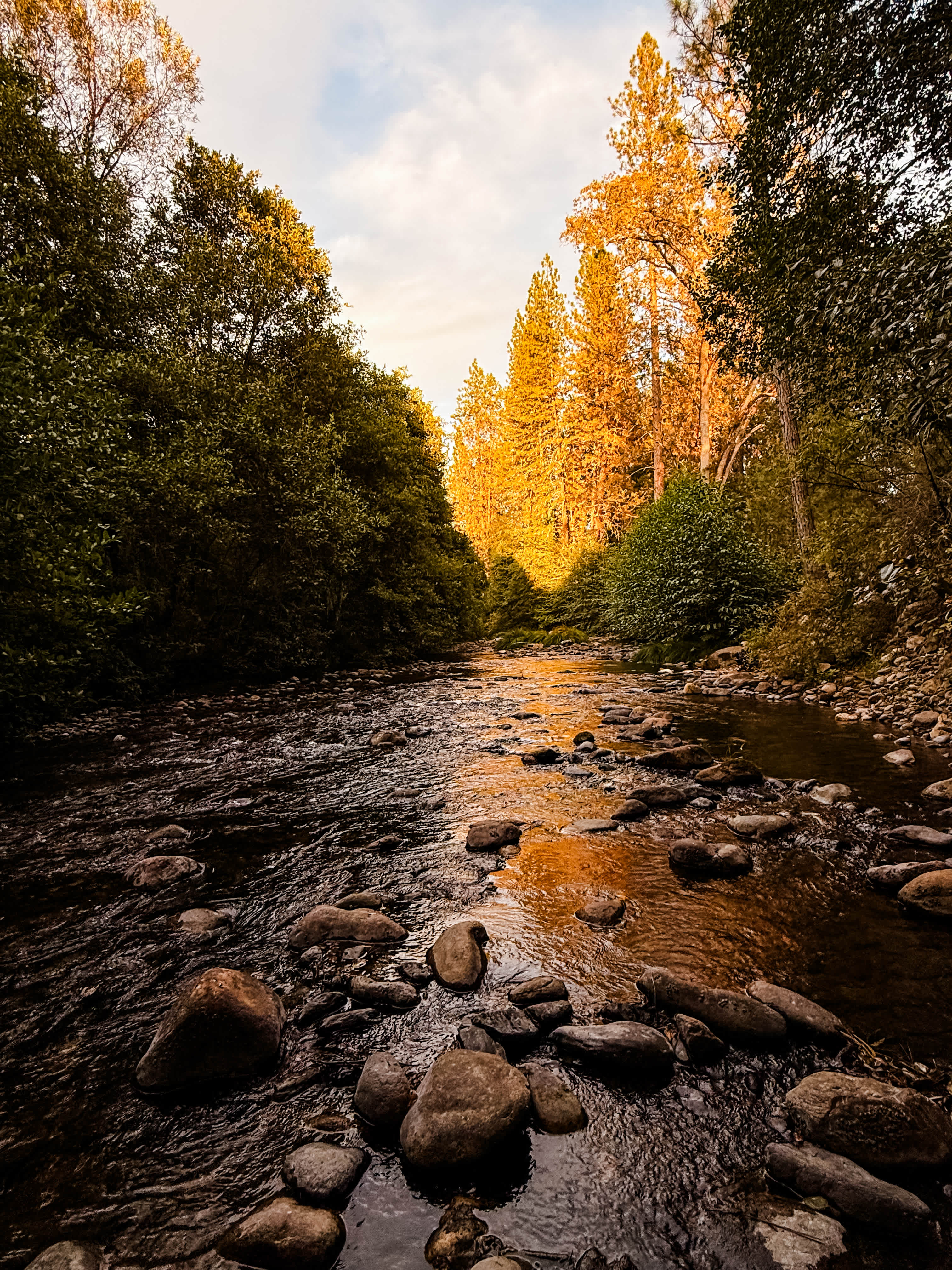 Peaceful evening
