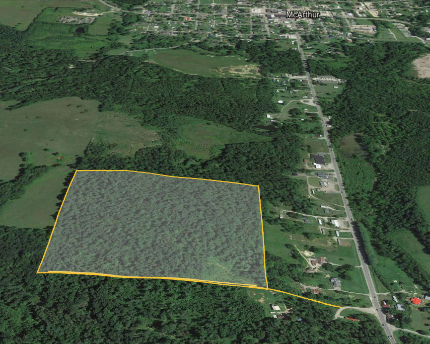 Picture of the site