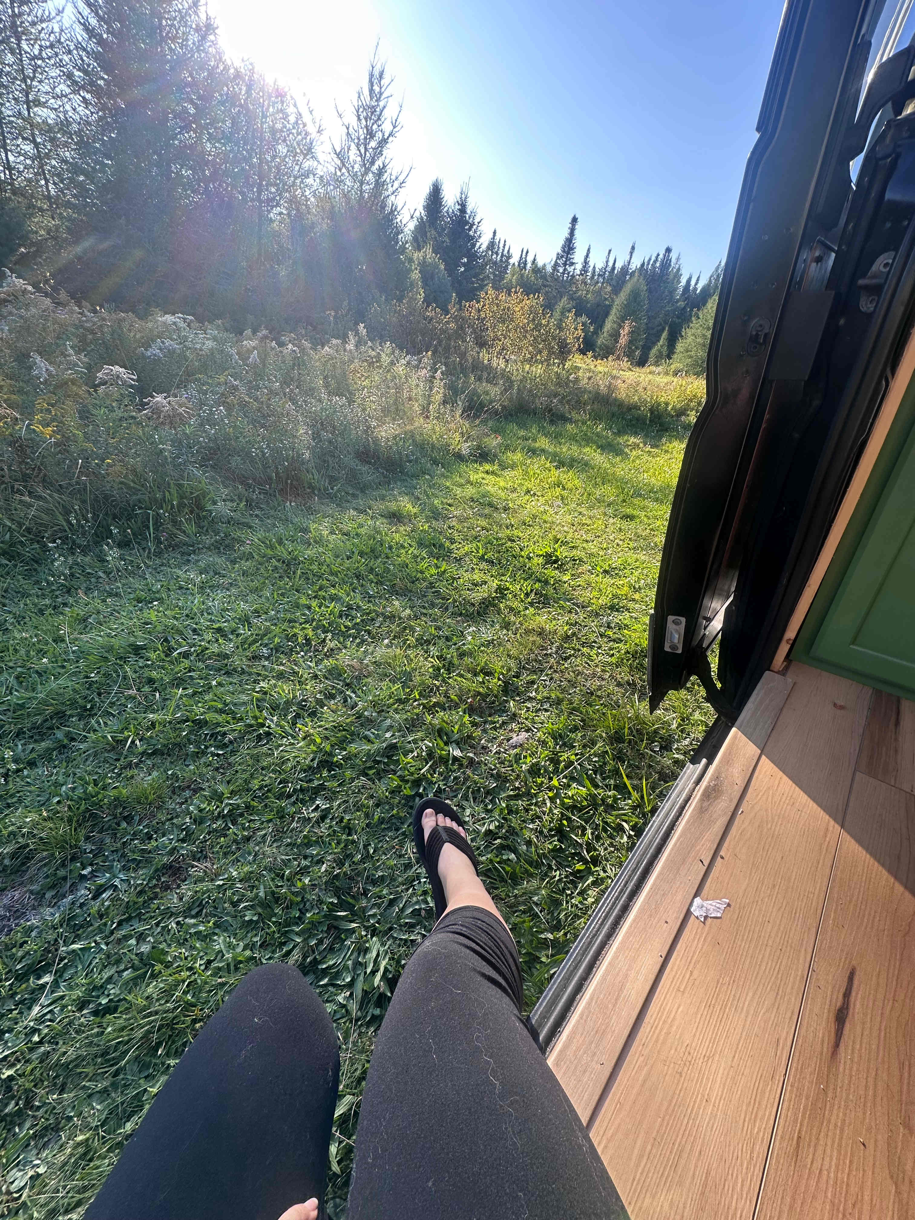 Wandering Pines Camping