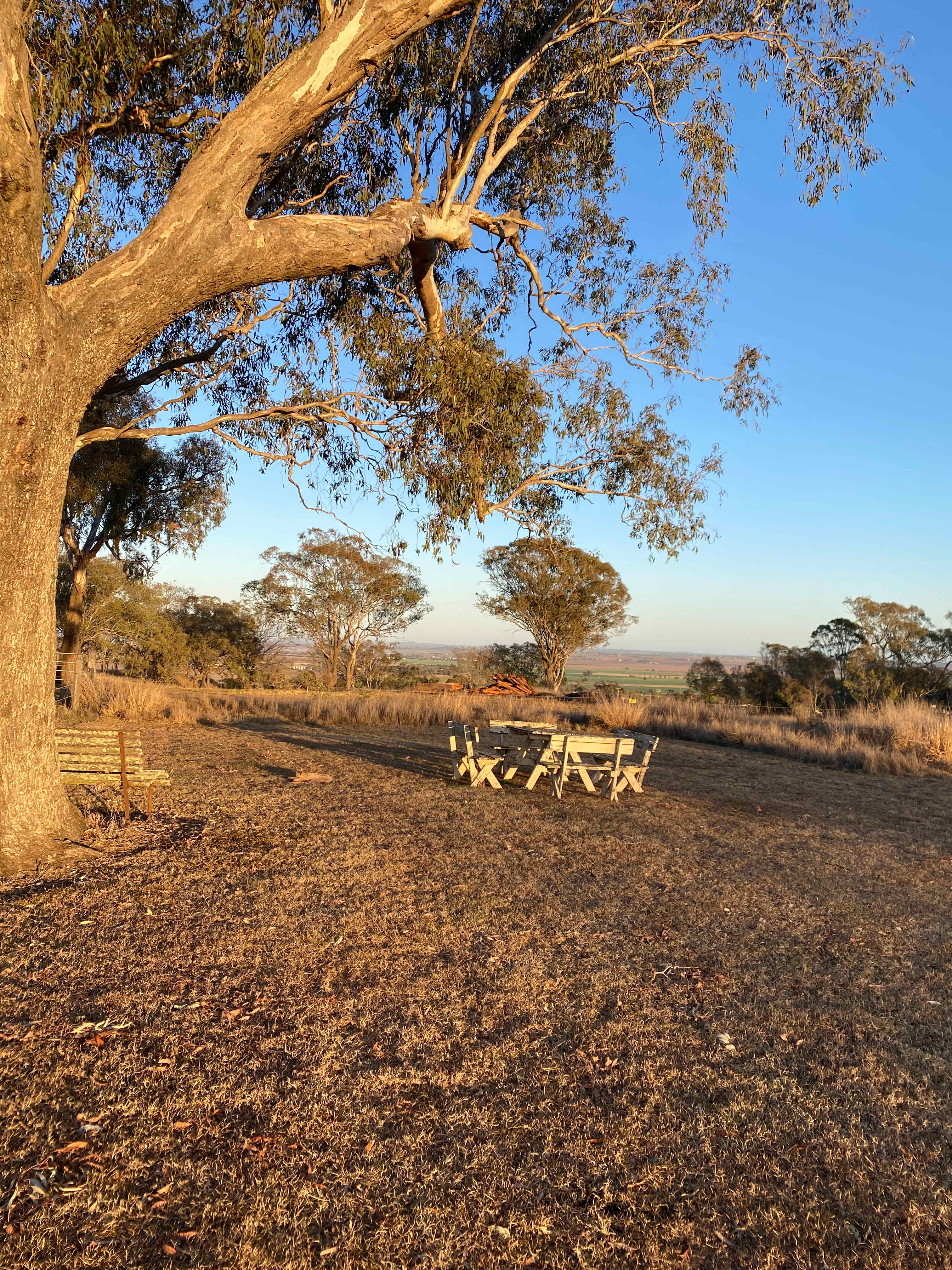 Mountview Farmstay