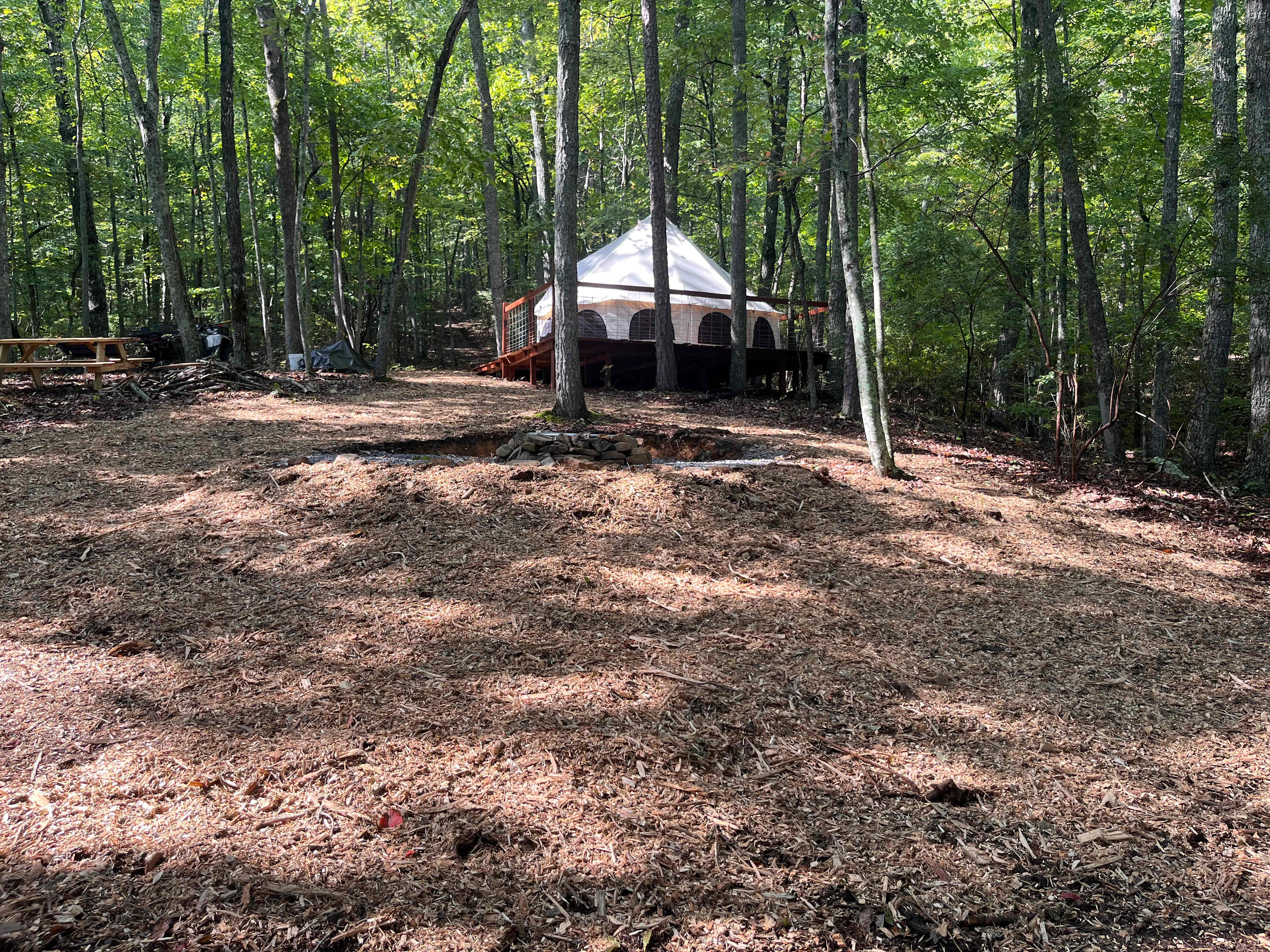 Picture of the site