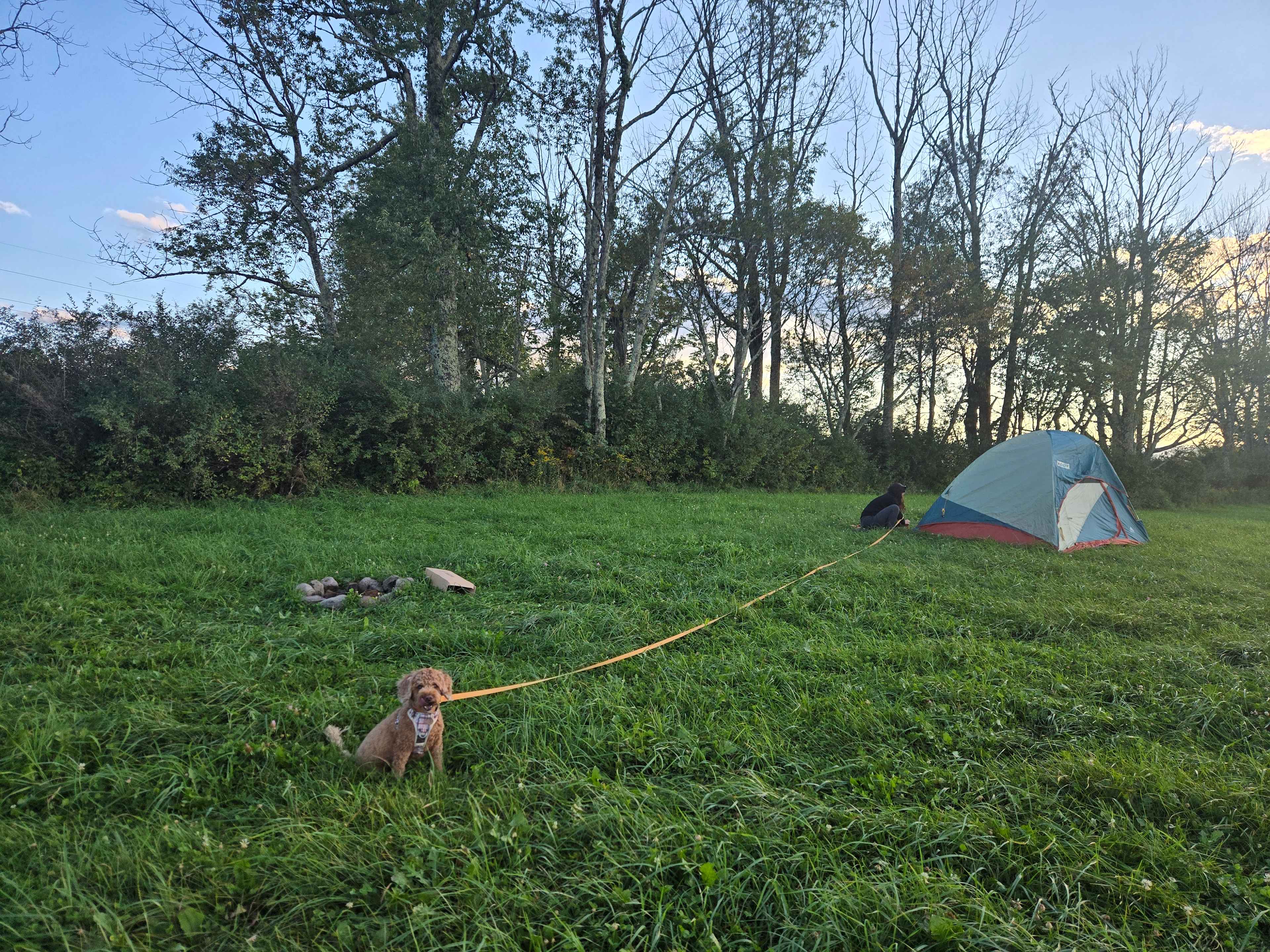 Wahl Dairy Farm.  Hilltop Campsite
